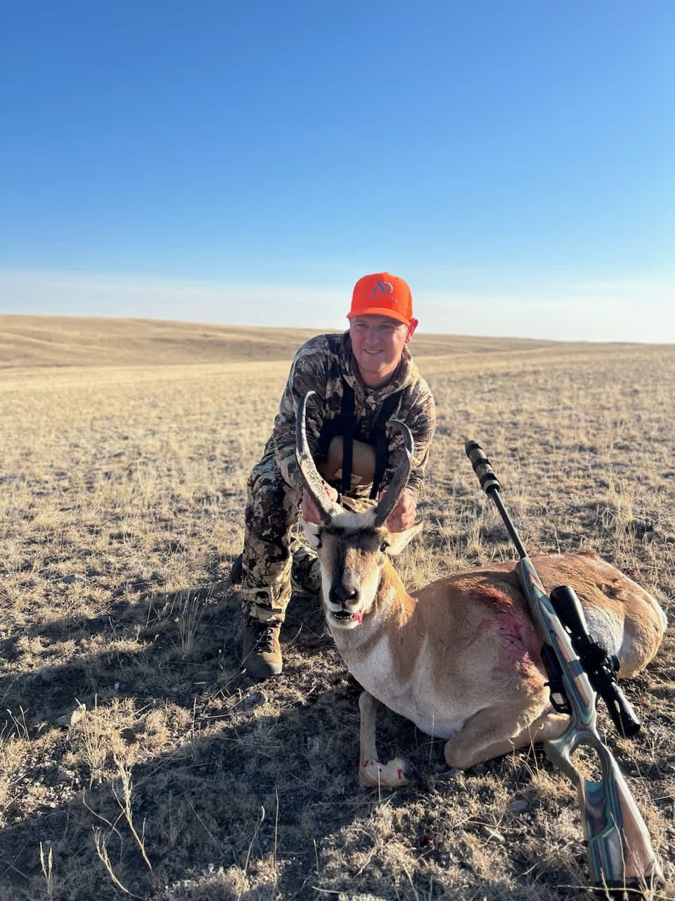 North Bear - Pronghorn