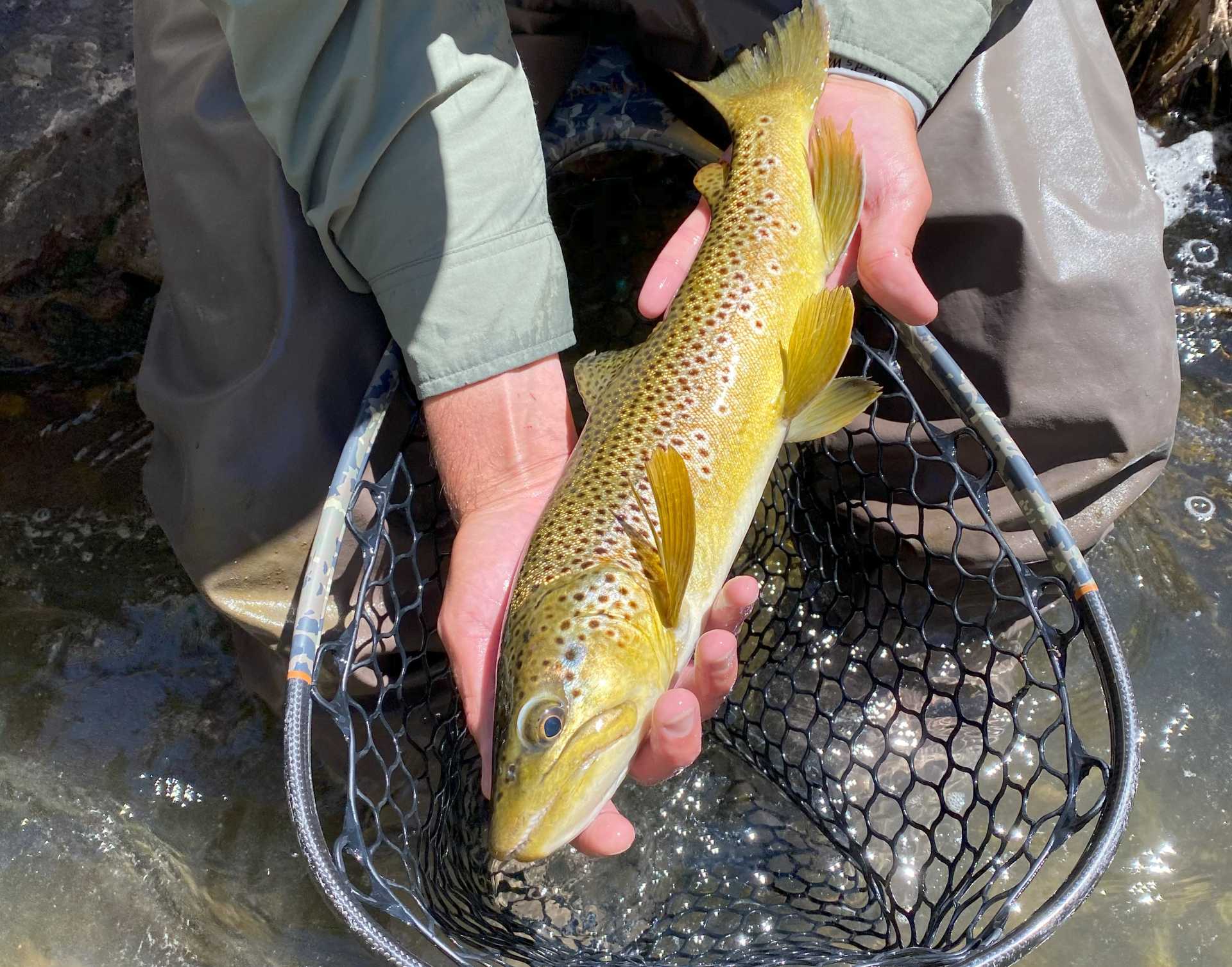 Duck Creek Road - Fishing