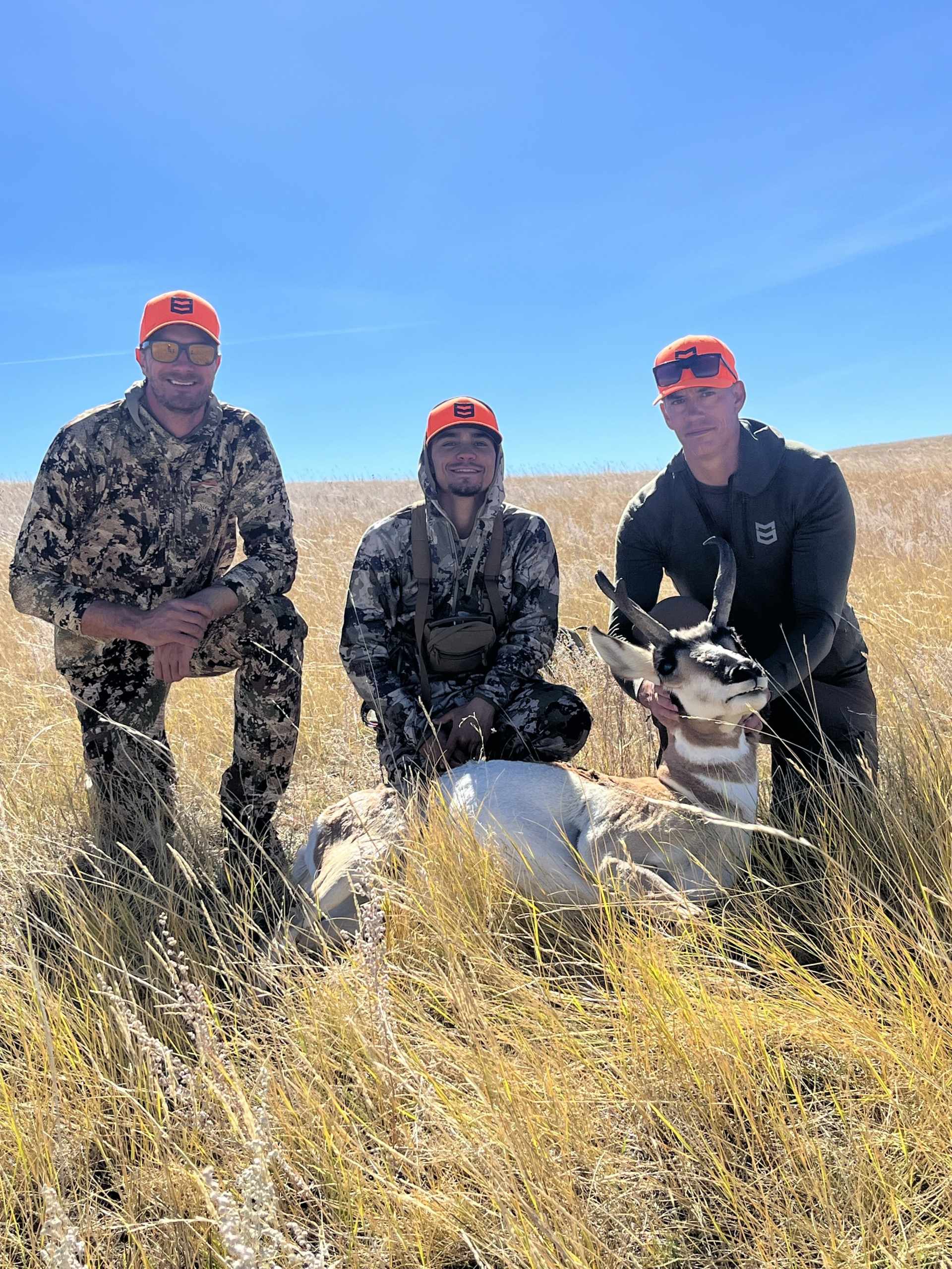 Horse Creek - Pronghorn Doe