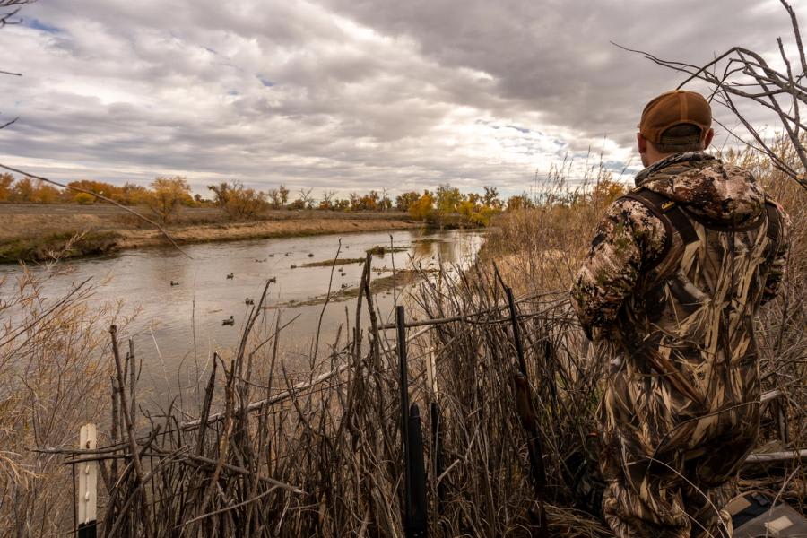 Duck Blind on the St. Vrain River