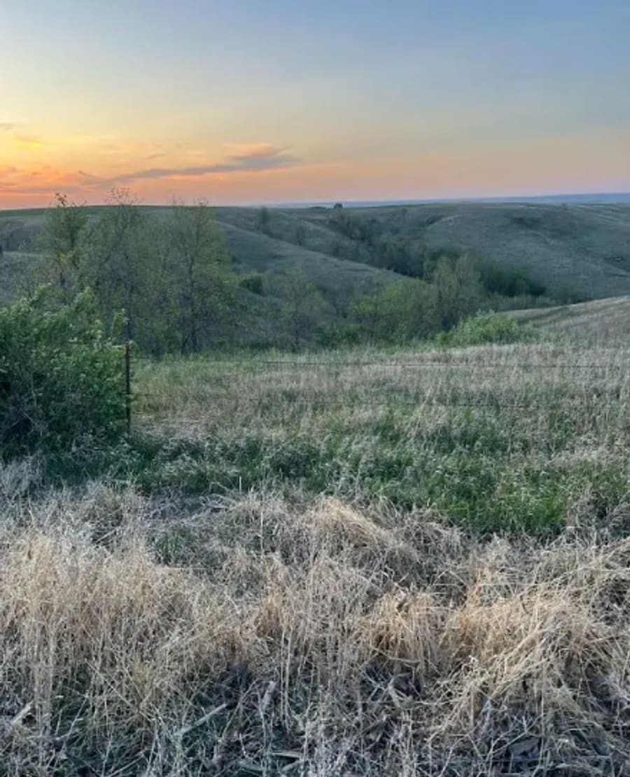 Chase mule deer and whitetail in Northern South Dakota