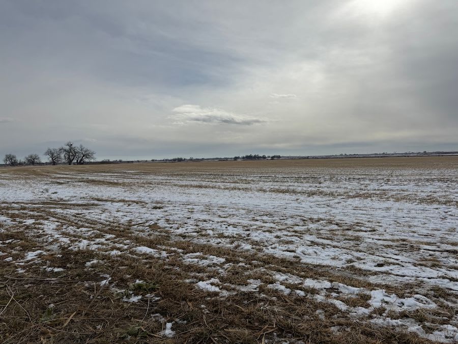 Hunt waterfowl along the South Platte River
