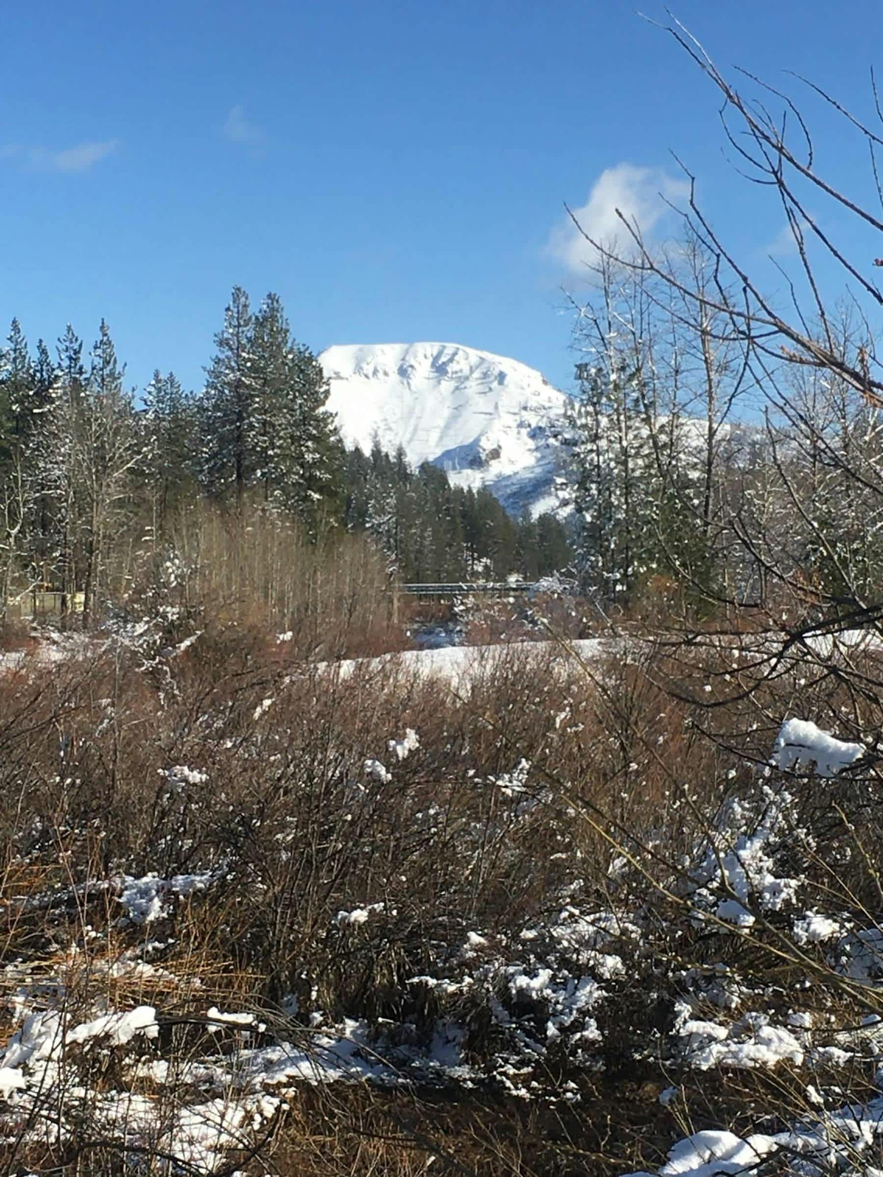 property_data/AJ6yOy5vZuV0xla0DXfZ/pictures/[RW] Feather River Retreat_10.jpg