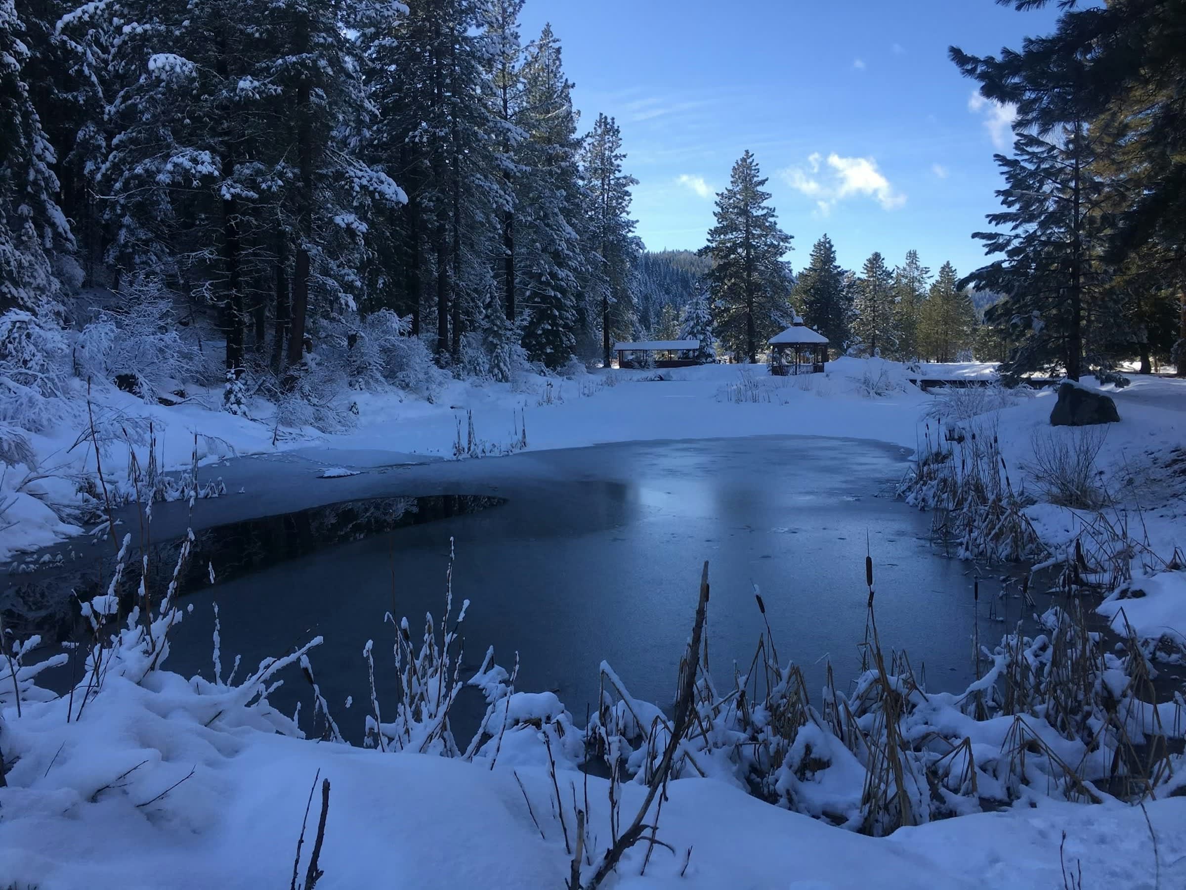 property_data/AJ6yOy5vZuV0xla0DXfZ/pictures/[RW] Feather River Retreat_2.jpg