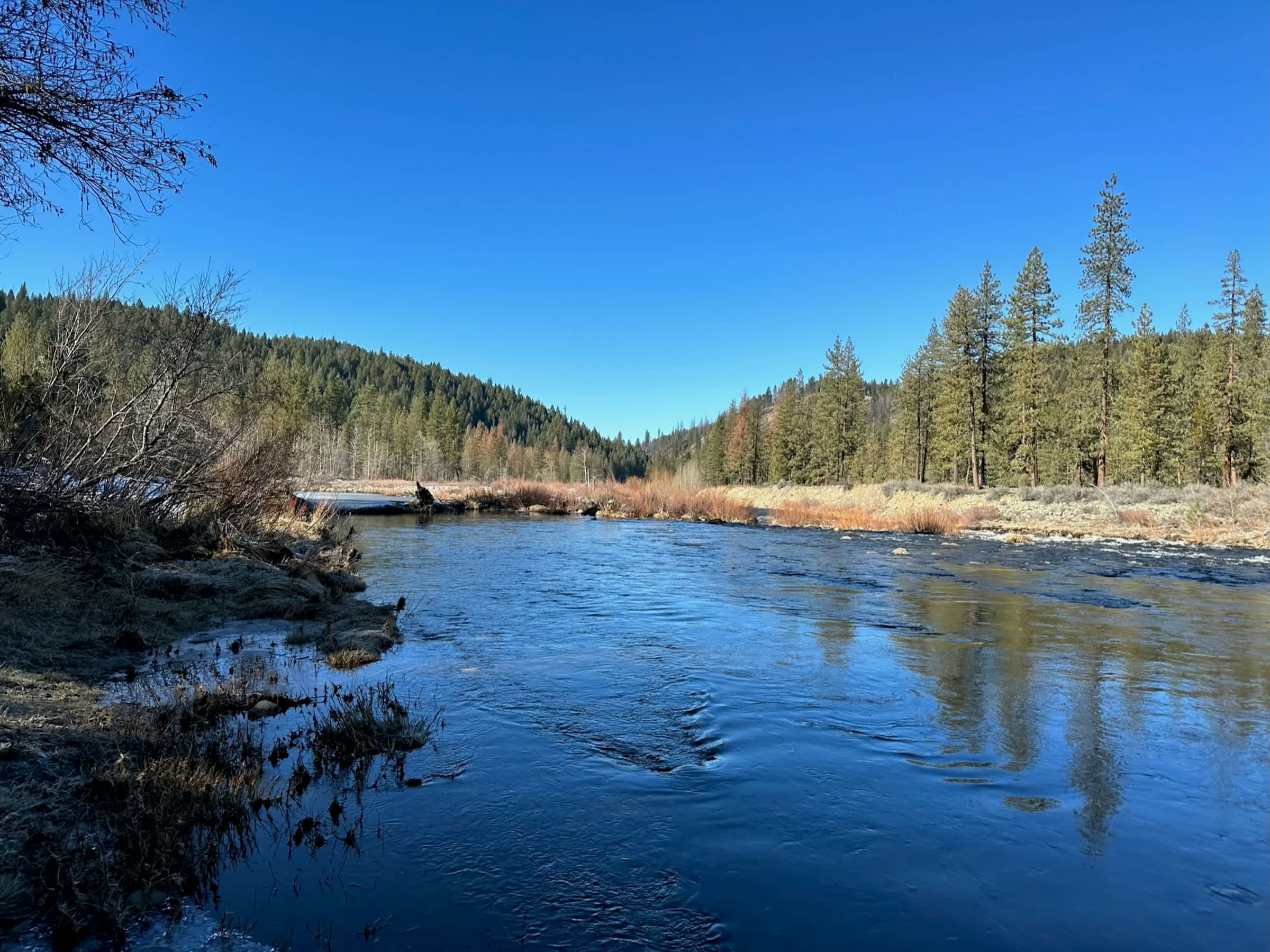 property_data/AJ6yOy5vZuV0xla0DXfZ/pictures/[RW] Feather River Retreat_3.jpg