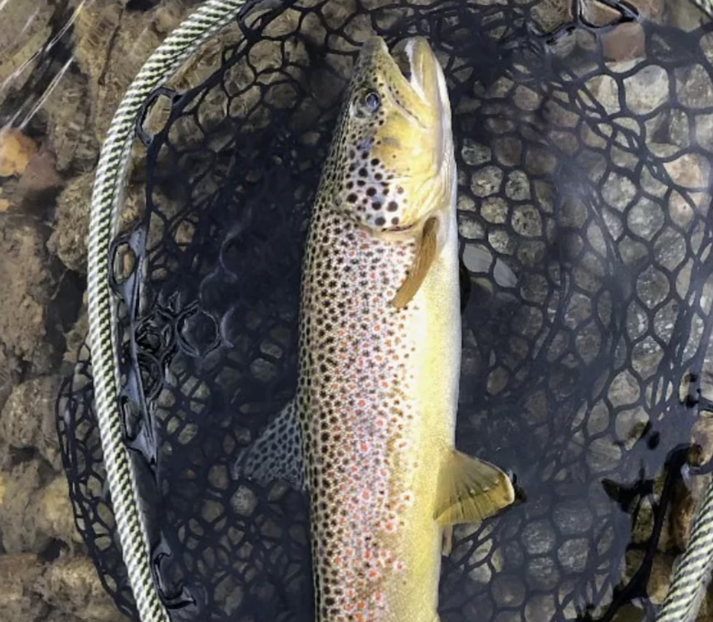 property_data/LBHdd1aNOUp3KICGPNOp/pictures/[RW] Montana Meadows Ranch_12.jpg