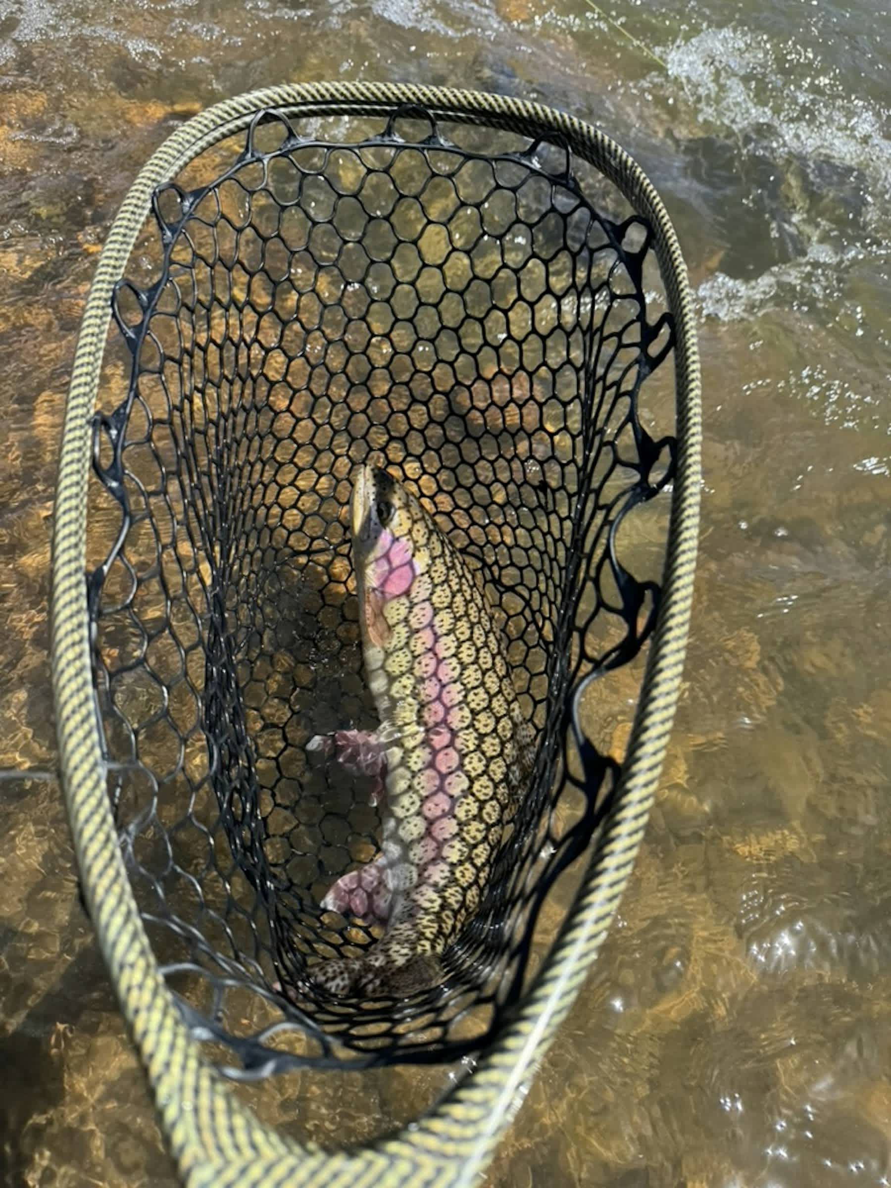 property_data/YDOmaLy2C2YJQSGLJaEC/pictures/[RW] Battle Creek Beauty_1.jpg