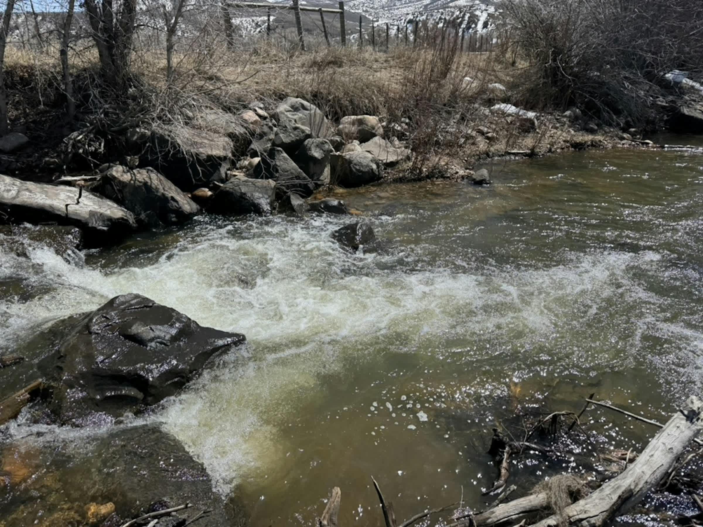 property_data/YDOmaLy2C2YJQSGLJaEC/pictures/[RW] Battle Creek Beauty_2.jpg