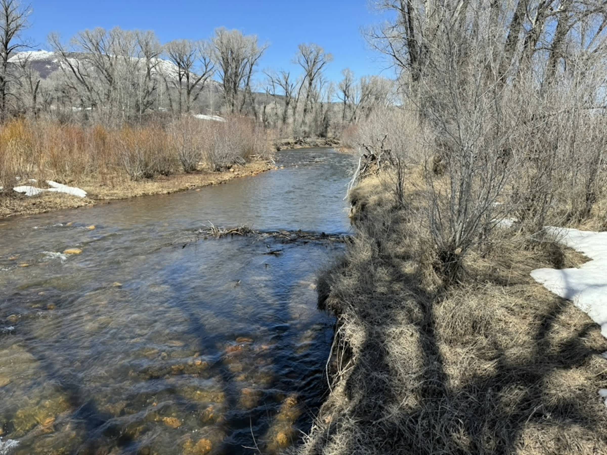 property_data/YDOmaLy2C2YJQSGLJaEC/pictures/[RW] Battle Creek Beauty_3.jpg