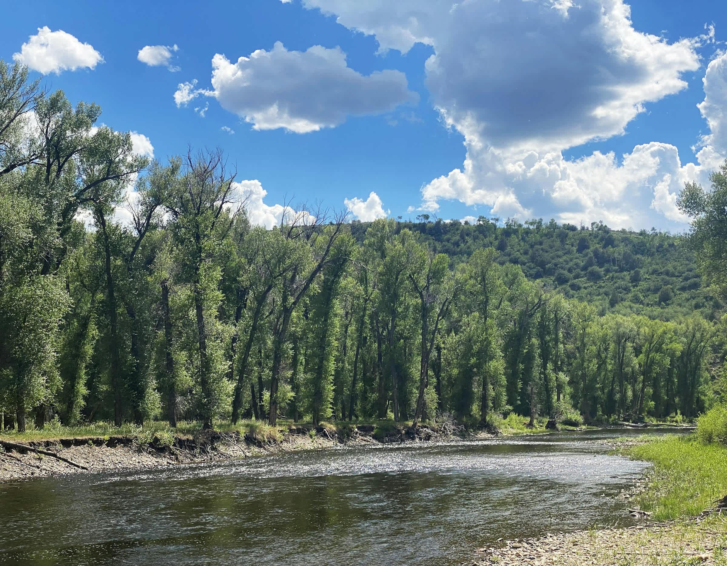 property_data/YDOmaLy2C2YJQSGLJaEC/pictures/[RW] Battle Creek Beauty_4.jpg