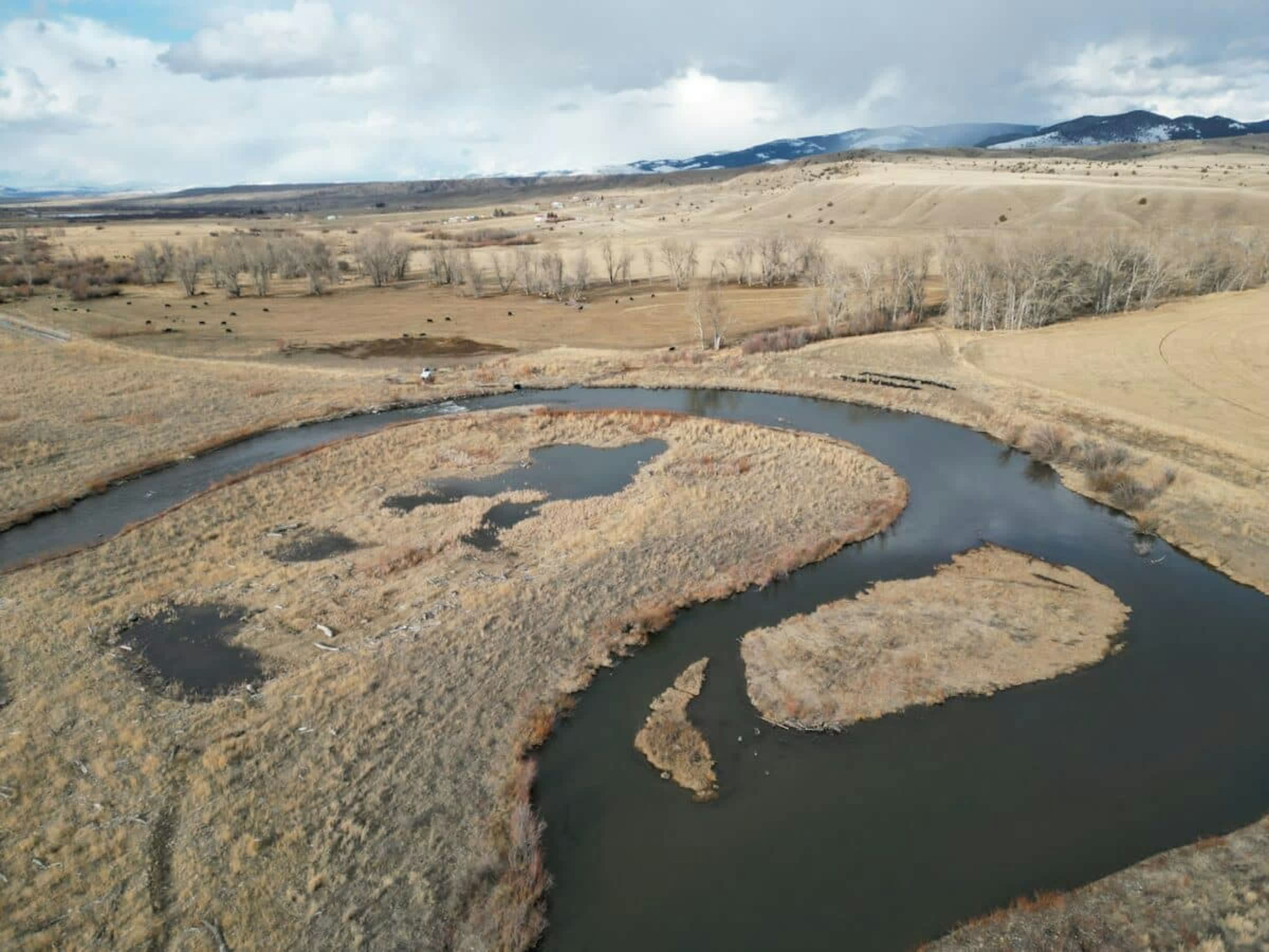 property_data/iV2k1fqxihxYNljbGhq5/pictures/[RW] Clark Fork Meadows_3.jpg