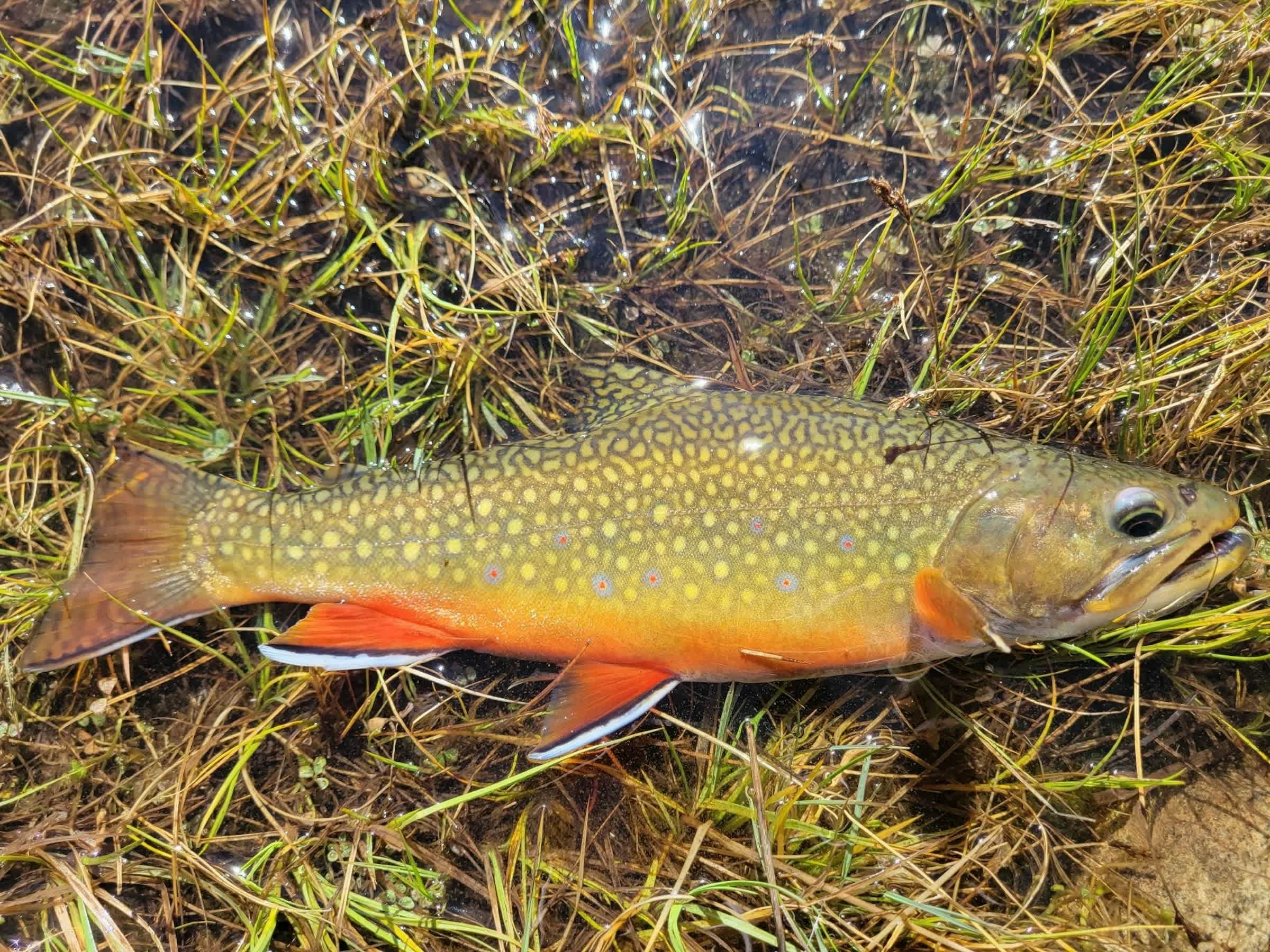 property_data/p7Cni28XA13sERKy50fA/pictures/[RW] Mirror on the Michigan: Lower Lake_12.jpg