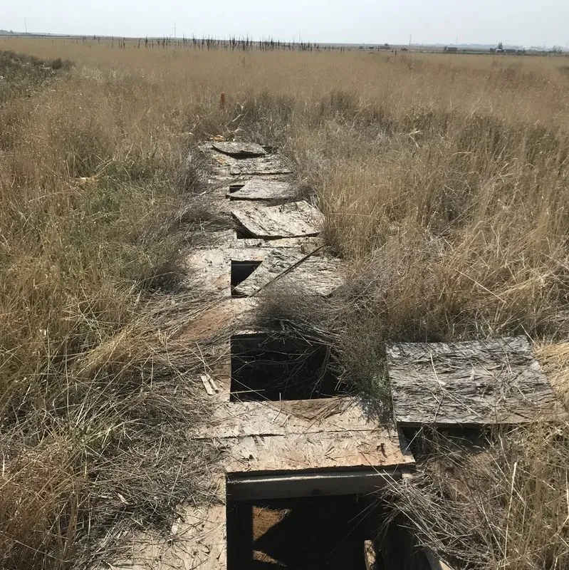 property_data/uny7upjEXN2U3zVtUjLw/pictures/lazy f farms_800x800.webp