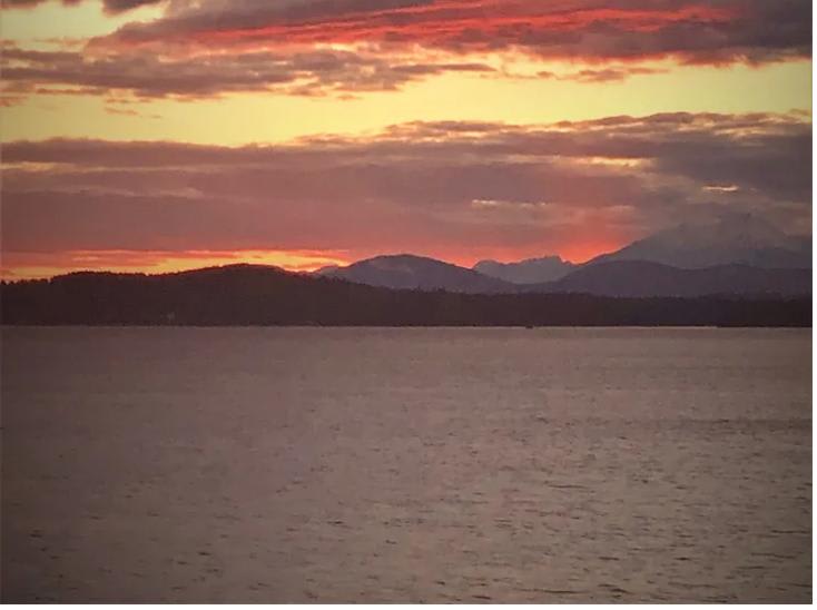 property_data/1obT03fJtPmB7ld1tzvQ/pictures/Screenshot 2026-03-05 at 2.51.28 PM.jpg