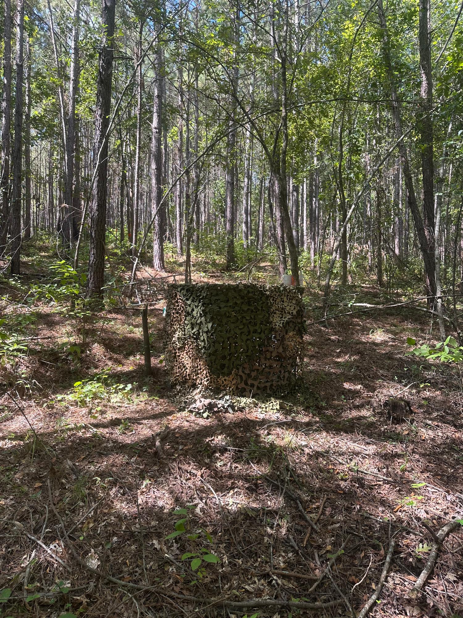 property_data/6YRjLigkwLCy1WMRT0LJ/pictures/1D Stand Front view.jpg