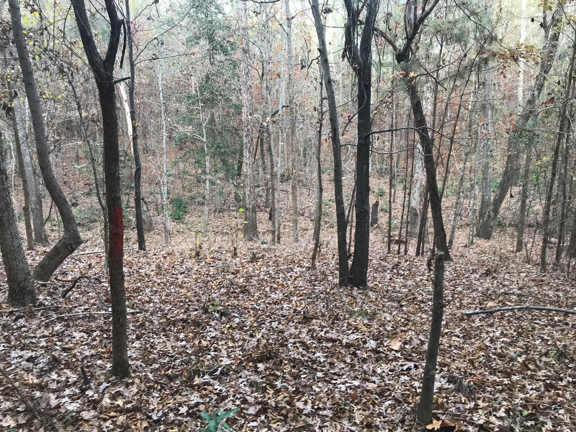 property_data/6YRjLigkwLCy1WMRT0LJ/pictures/1D Winter view.jpg