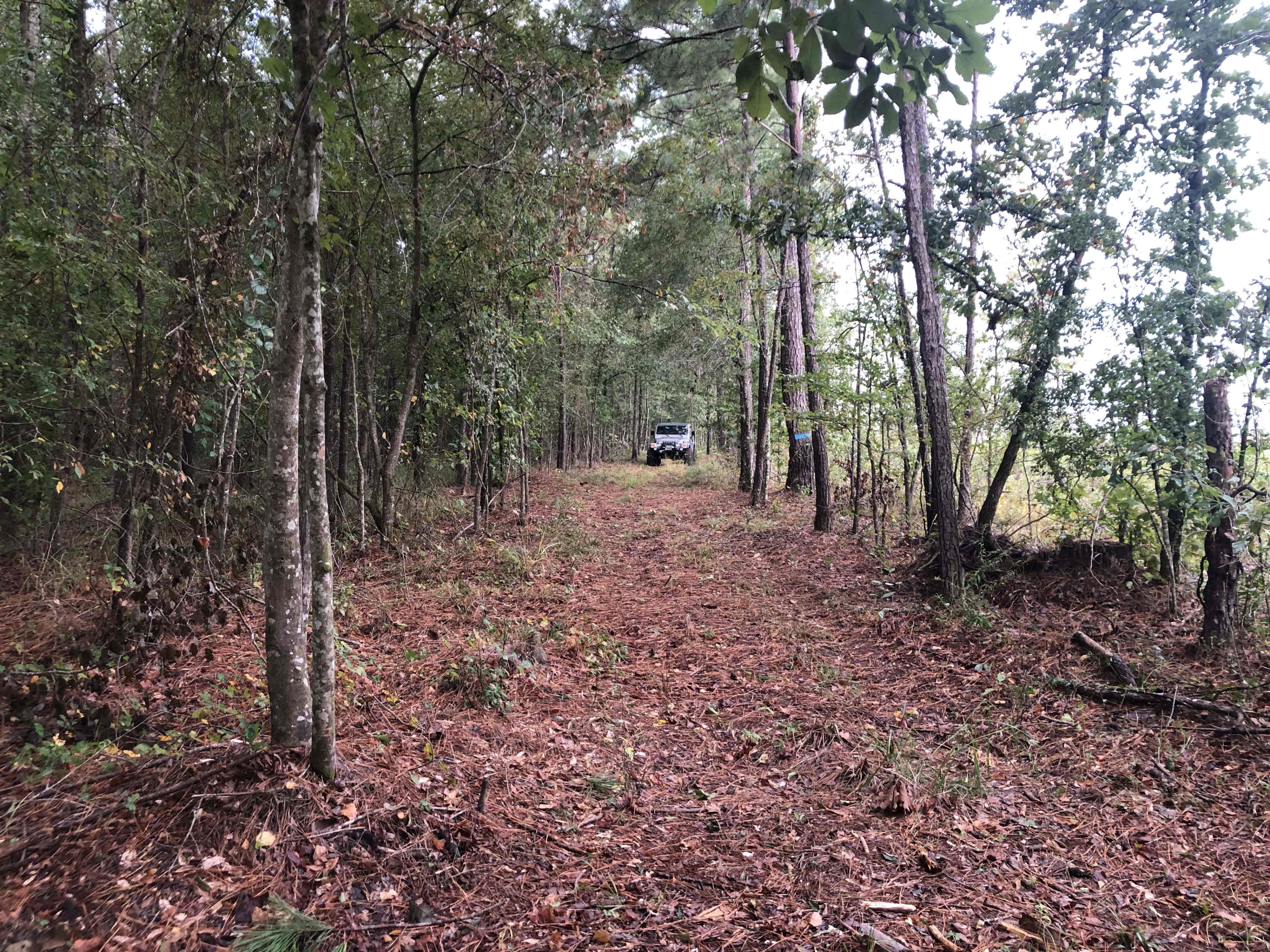 property_data/6aa3FsKrx2GfhK6SS0xp/pictures/Deep south jeep trail.jpg