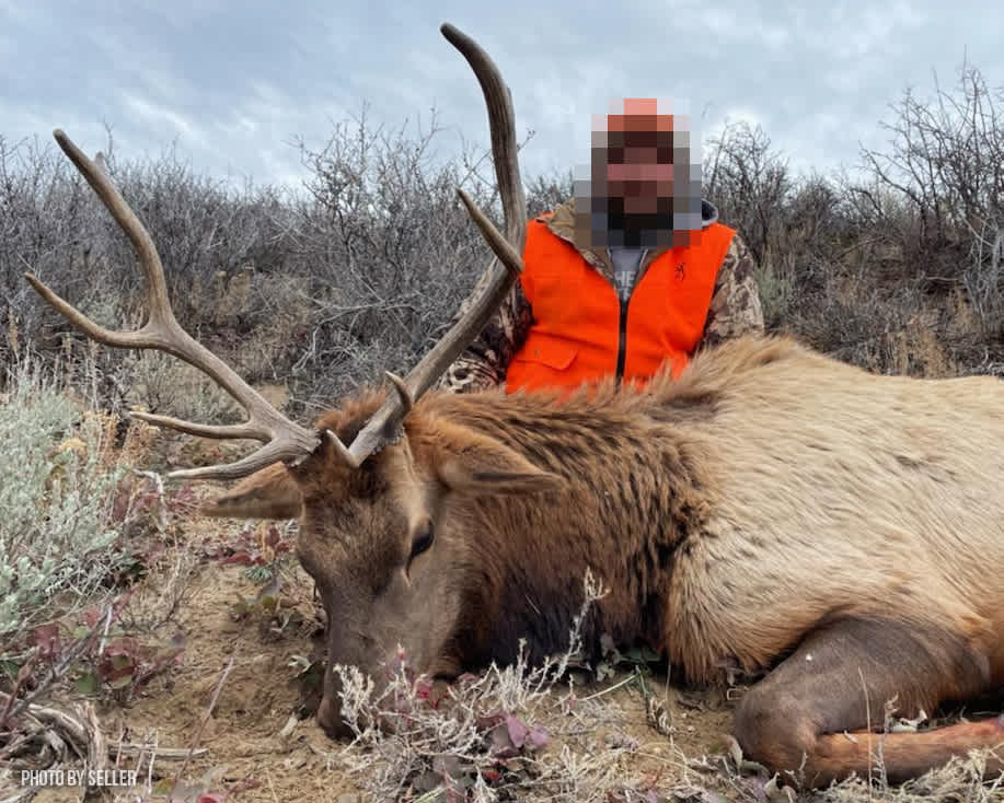 property_data/8QBsrqgwKRbcMW4FbHEm/pictures/HogbackDraw_ELK5_LR_WM.jpg
