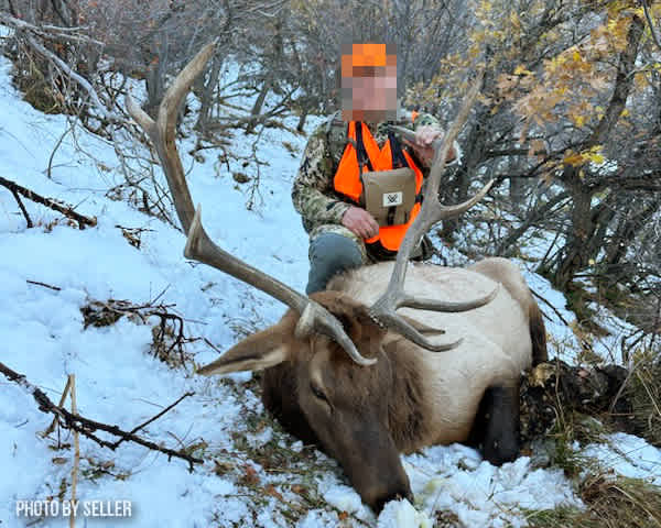 property_data/8QBsrqgwKRbcMW4FbHEm/pictures/HogbackDraw_ELK6_LR_WM.jpg