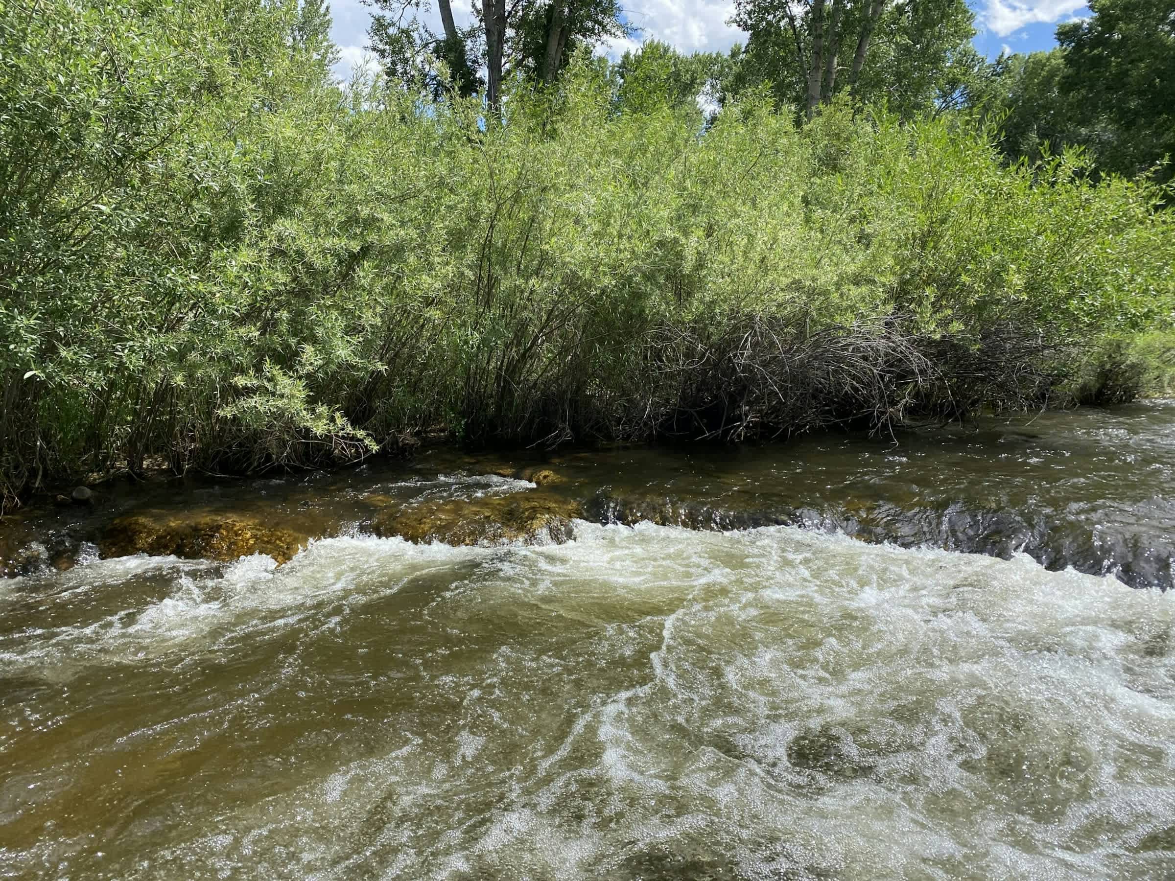 property_data/BhPyncdkaT6Vo1M9ZXP8/pictures/[RW] Scenic Salida Ranch_10.jpg
