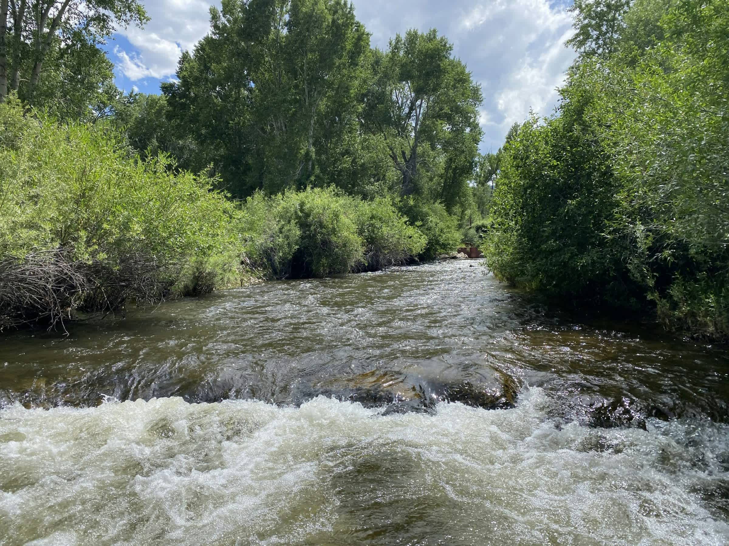 property_data/BhPyncdkaT6Vo1M9ZXP8/pictures/[RW] Scenic Salida Ranch_11.jpg