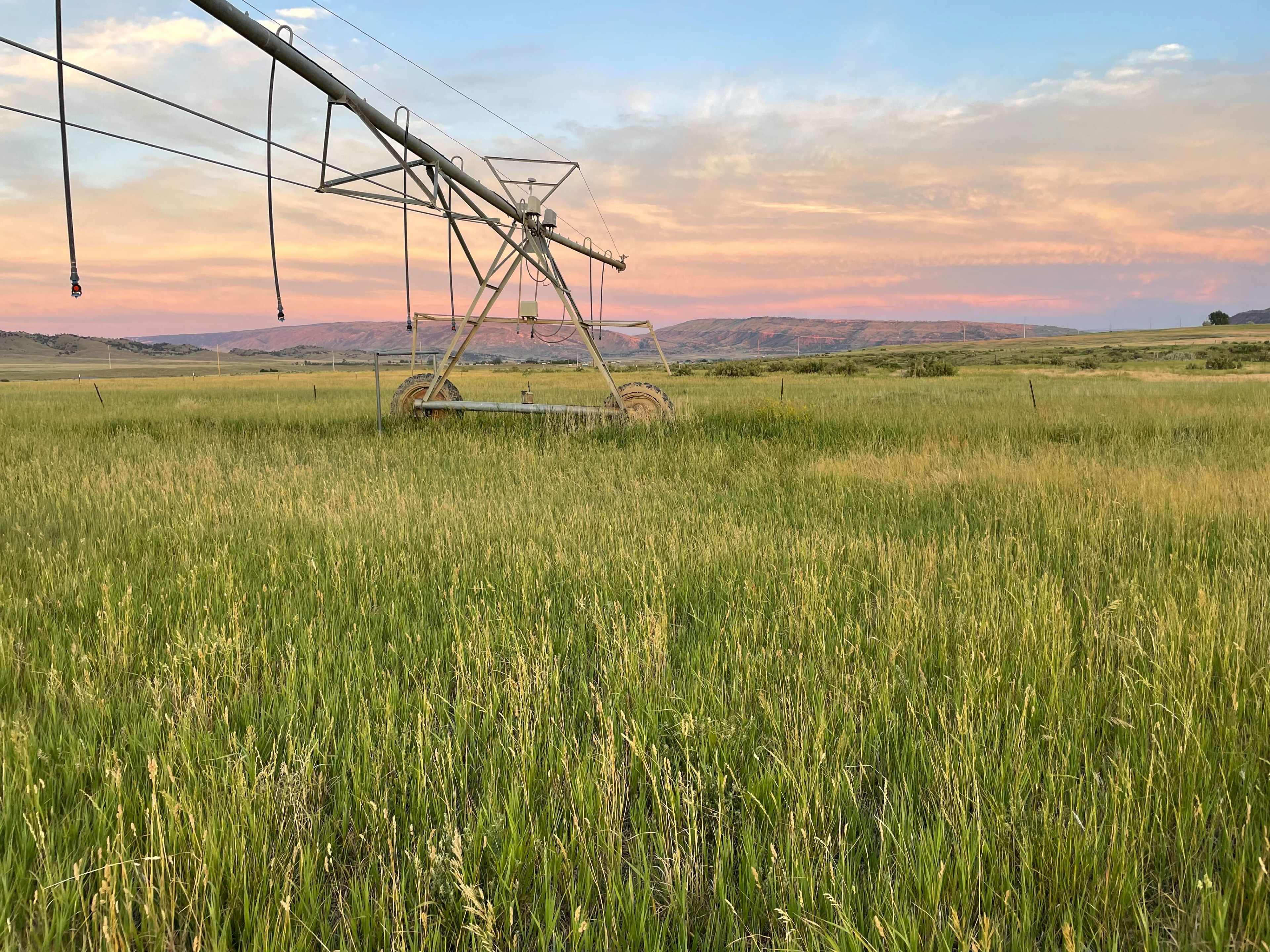 property_data/BqoV9vuL4PlyoVWEdzpj/pictures/Image from iOS (19).jpg