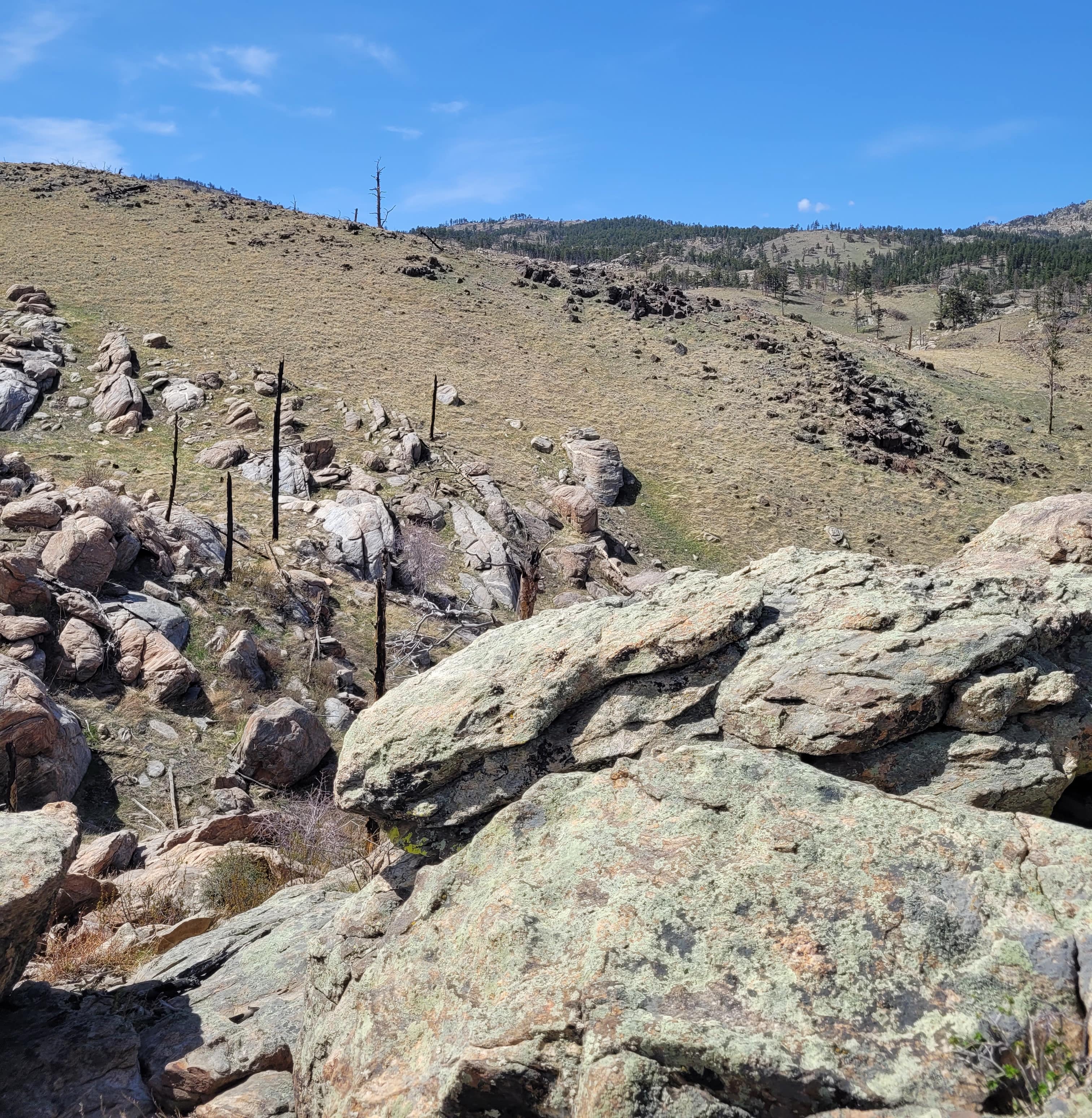 property_data/F6YOHhwxTfEIoOAcKXhS/pictures/Laramie Peak Ranch- N-min.jpg