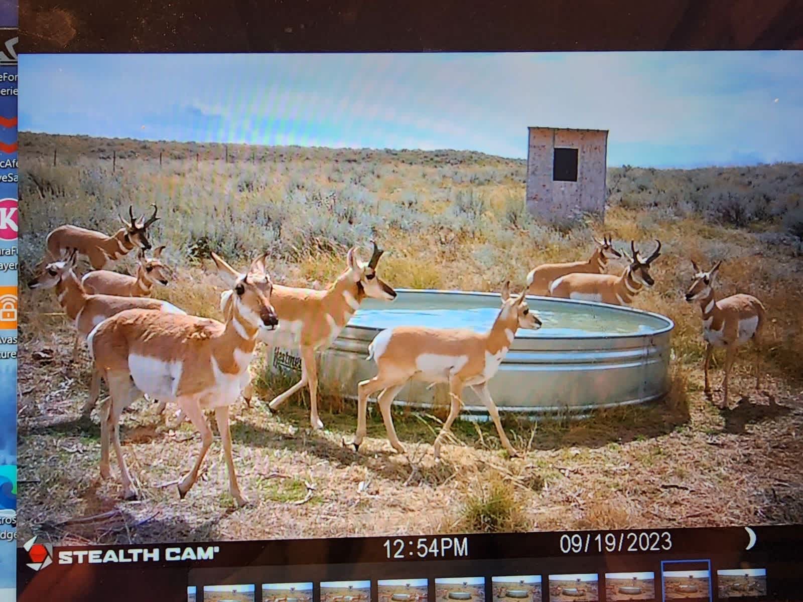 property_data/GTBKmBdzSSsq3AUMLeVf/pictures/123_1 (7).jpeg