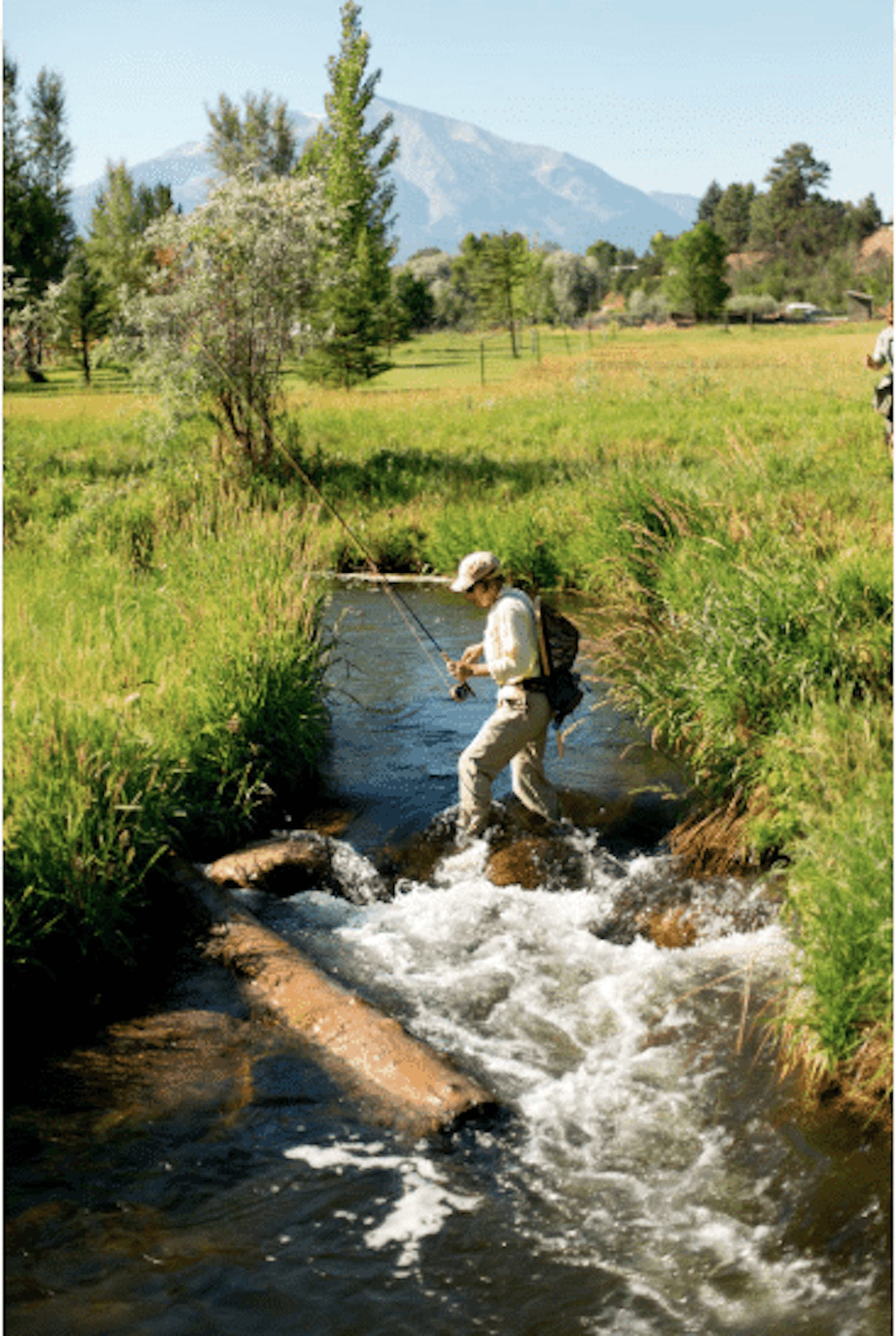 property_data/Gu7I3eyZPuwJbDfV0PD1/pictures/[RW] Spring Creeks Ranch_10.jpg