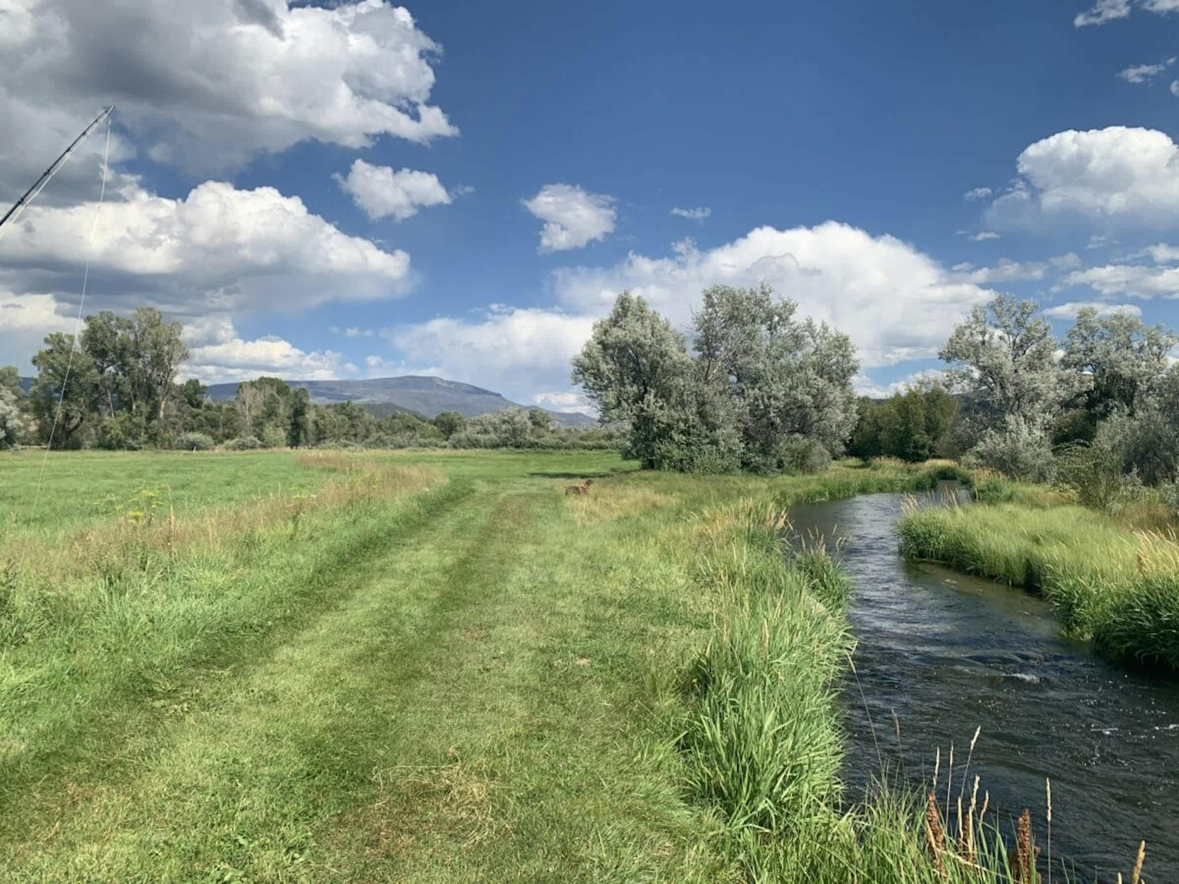 property_data/Gu7I3eyZPuwJbDfV0PD1/pictures/[RW] Spring Creeks Ranch_11.jpg