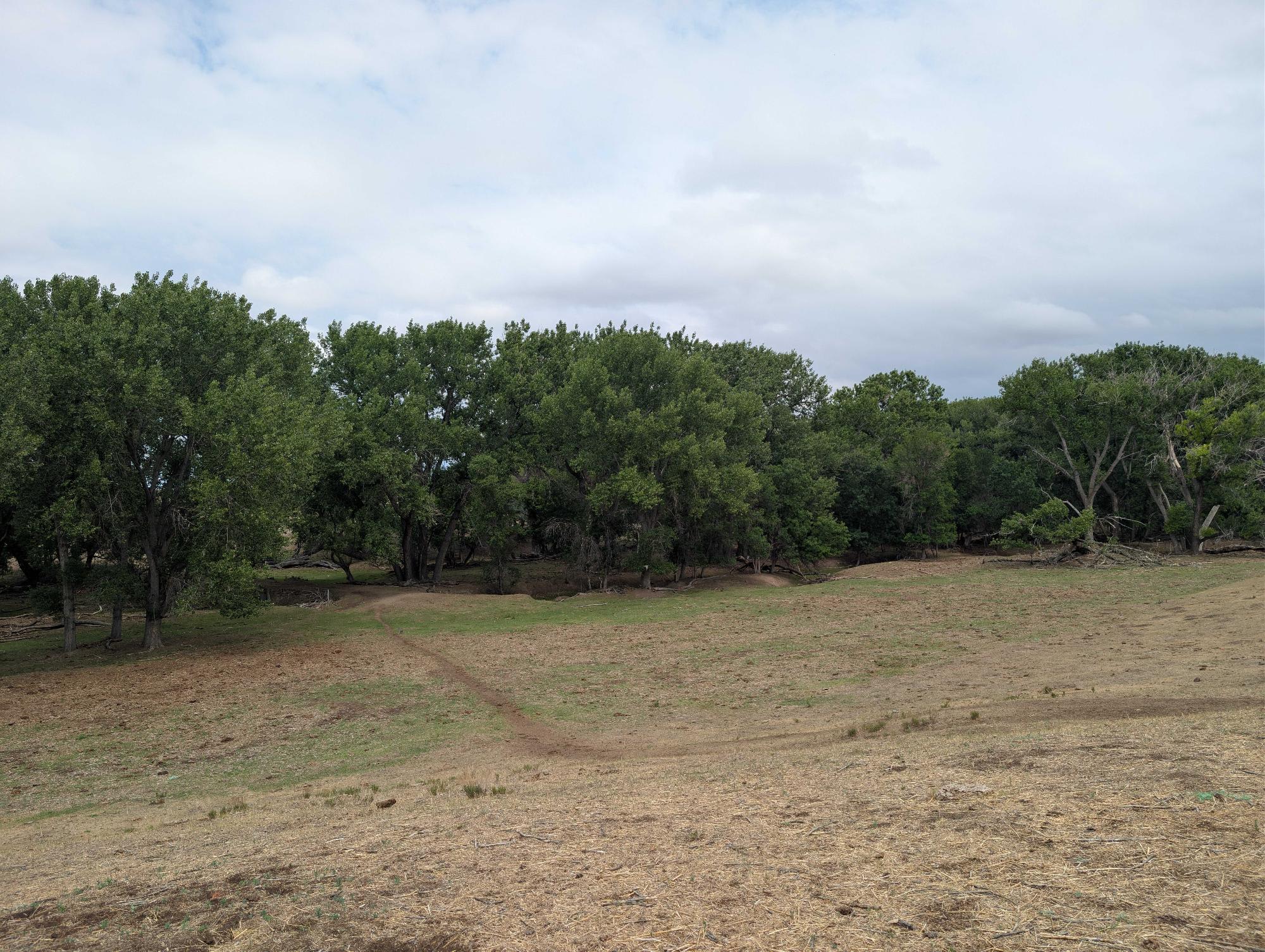 property_data/IqAJ4PtiXL1C1xtxUEM8/pictures/1000005900.jpg