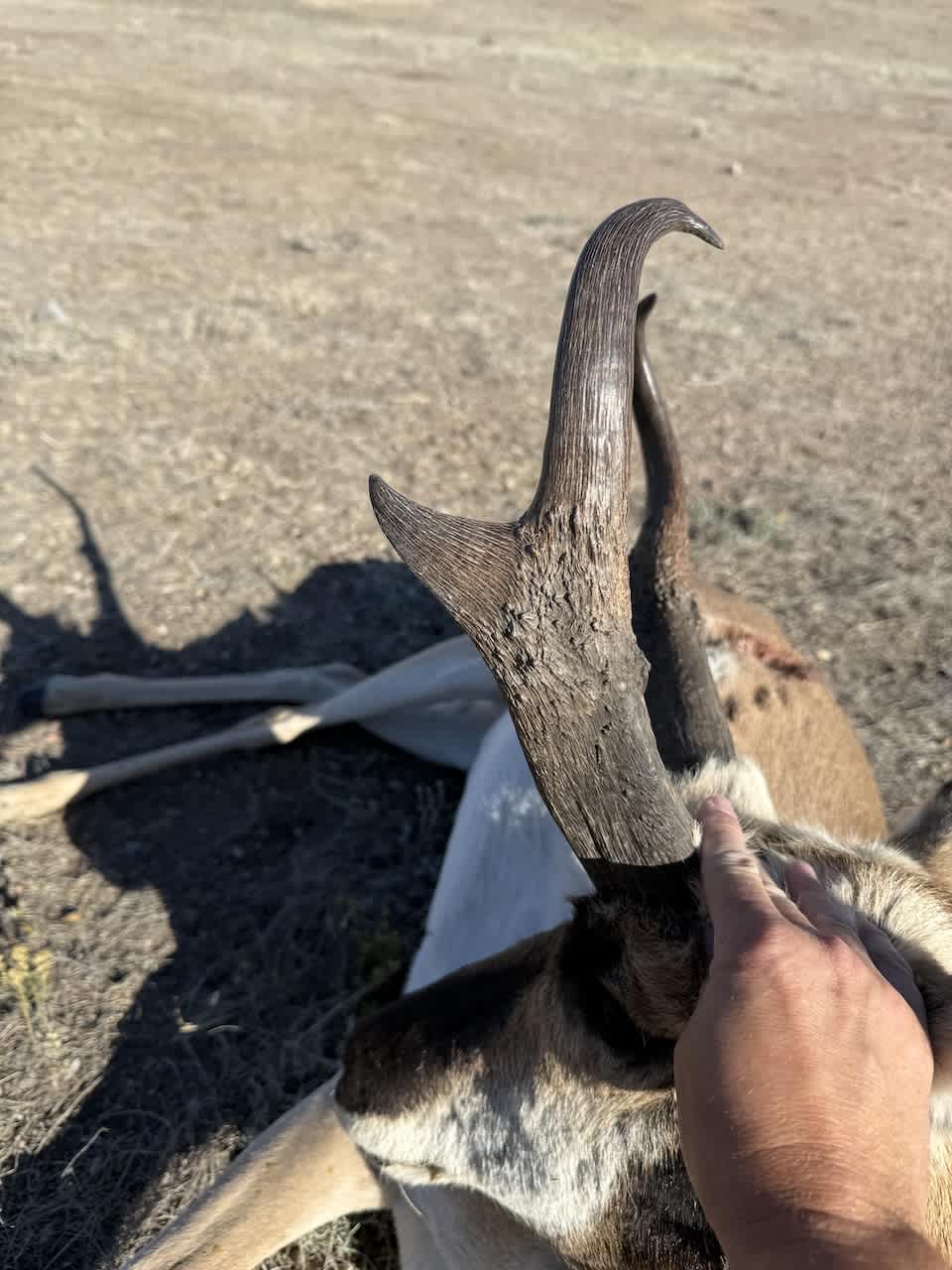 property_data/KzFPeo62Pw84TfSaTPEa/pictures/puason branch clint 24.jpeg