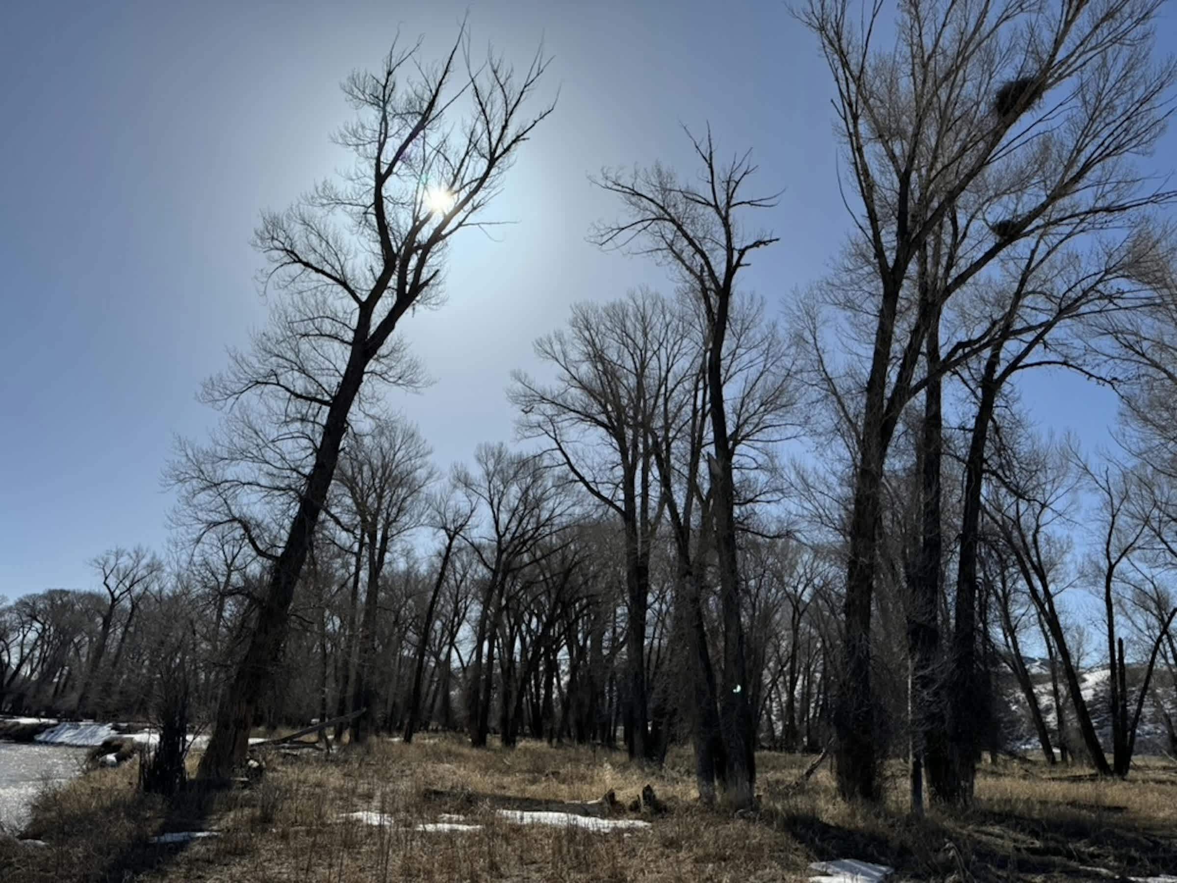 property_data/O287JK7sAVUUKmtCc8Hi/pictures/[RW] Little Snake River_1.jpg