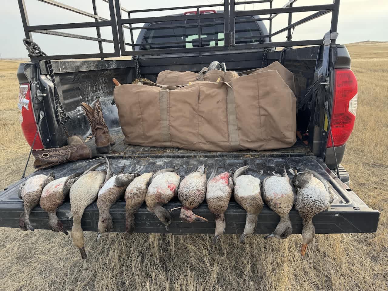 property_data/QJ9VkUPYMFnKEVKiSZIg/pictures/I-25 Waterfowl_20241011_seeton.jpeg