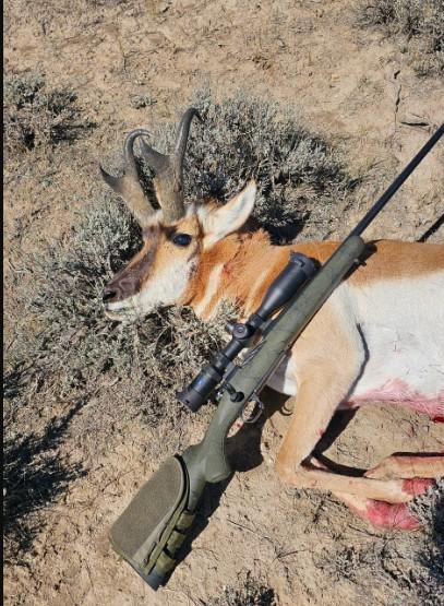 property_data/UBj15e5DBGBBaw3ZNOyD/pictures/west bates.jpg