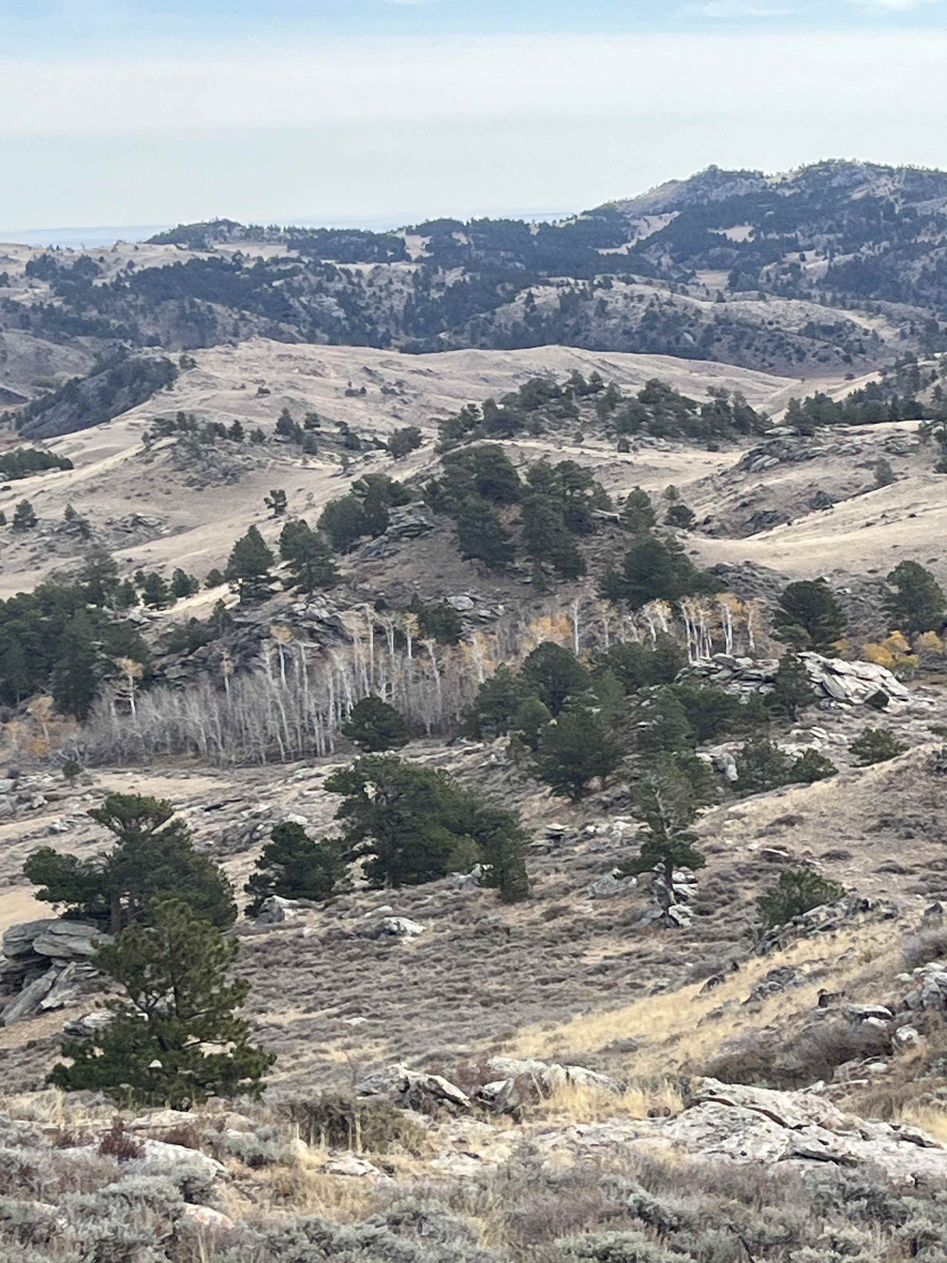 property_data/beK3T29kfDd9rceCG5Vn/pictures/The Star Place_20241021_0.jpg