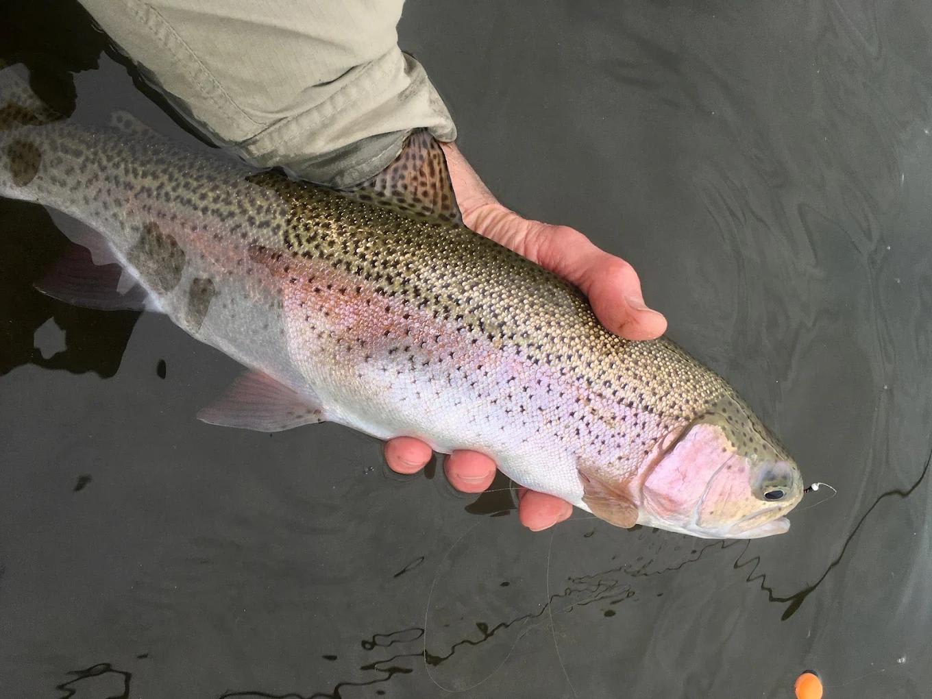 property_data/eOaJmq73hnmWqTpFjZgj/pictures/2023-04-18 (4).jpg