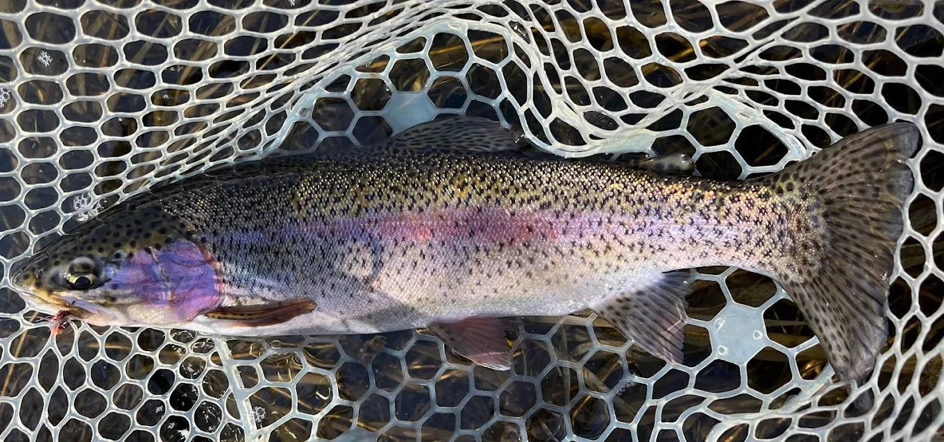 property_data/eOaJmq73hnmWqTpFjZgj/pictures/2024-03-30 (2).jpg