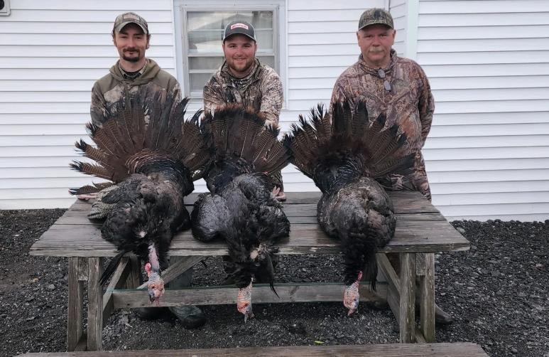 property_data/hRaDqdv2PF0ZsUfqDkI2/pictures/Screenshot 2026-03-18 093205.jpg