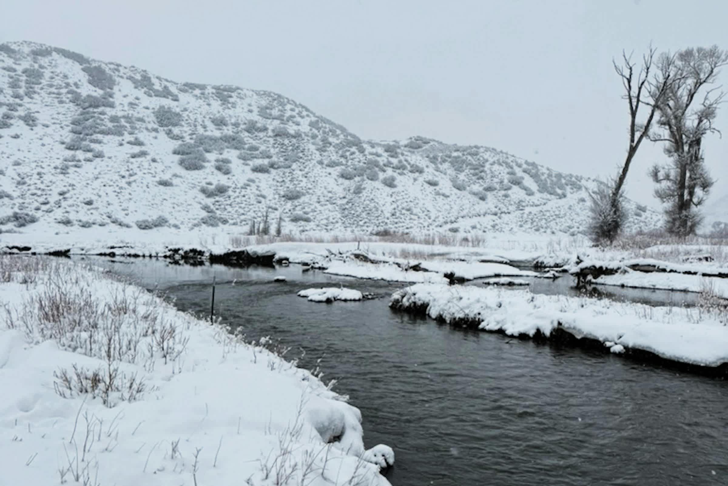 property_data/htg7dDA5PkFW1EsdLNc4/pictures/[RW] Williams Fork River Hideout_4.jpg