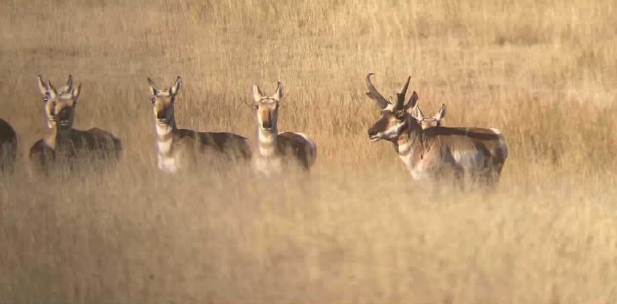 property_data/iMBkCcW3qANKCmCMmAYB/pictures/View rece.jpg