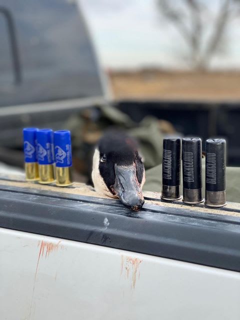 property_data/jUx9WA9sCM7NafRlgex7/pictures/horse creek 10.jpg