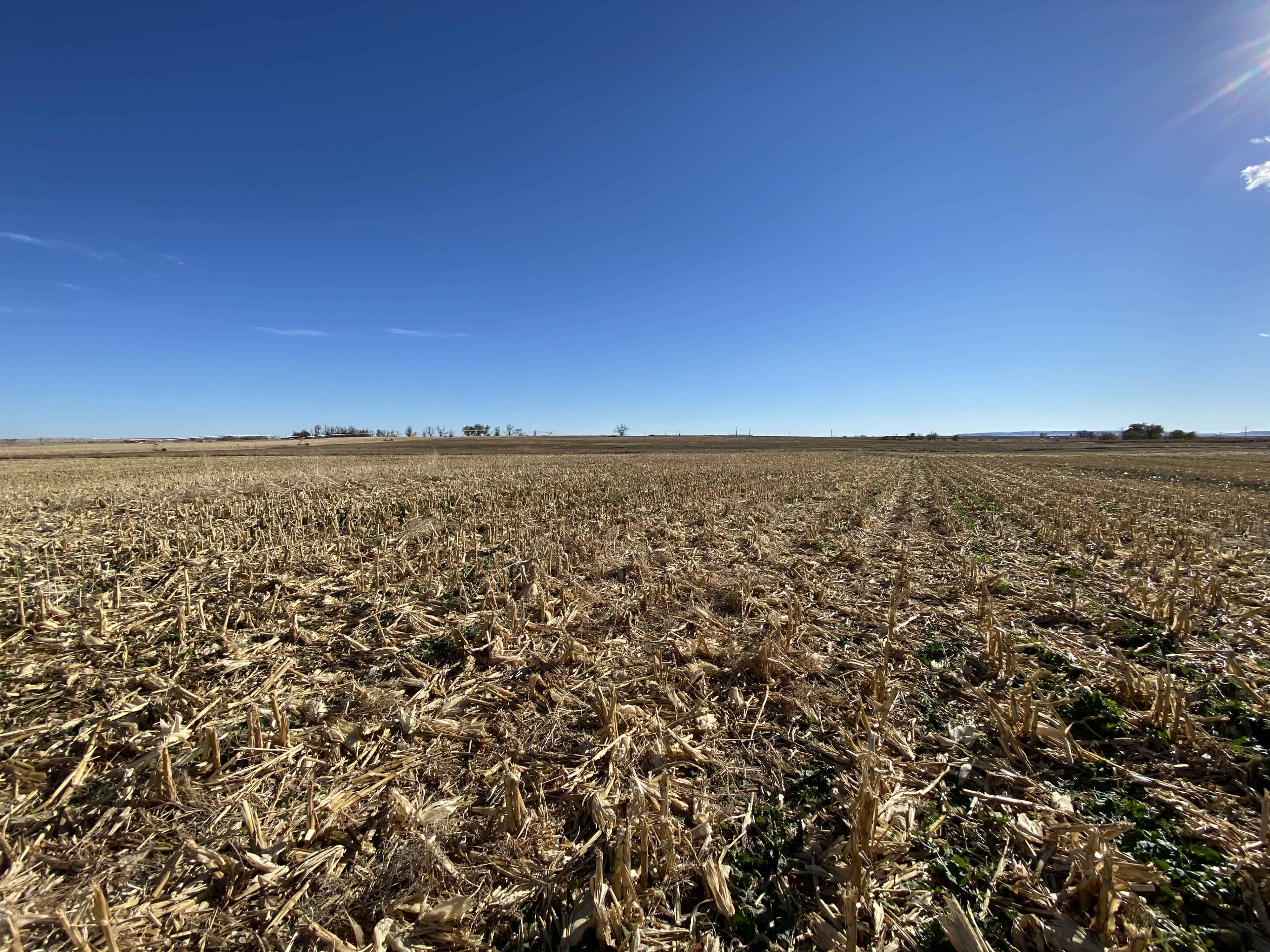 property_data/jUx9WA9sCM7NafRlgex7/pictures/horse creek-1.jpg