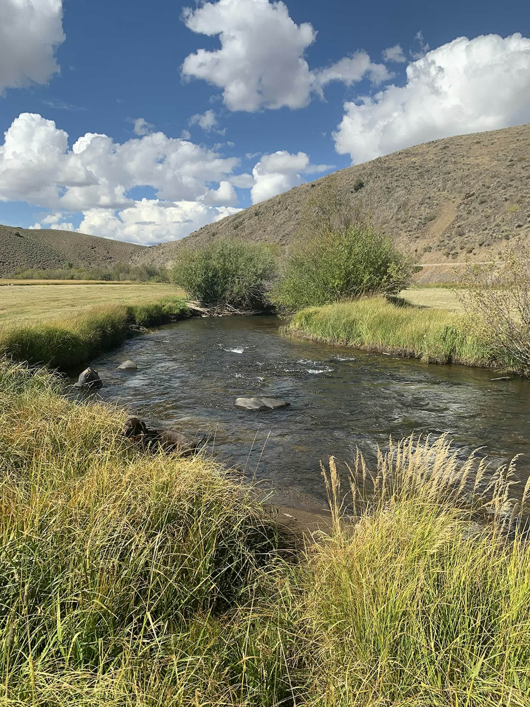property_data/kM60Jx5SeozBZ2B2Kd9l/pictures/[RW] Cochetopa Creek_1.jpg