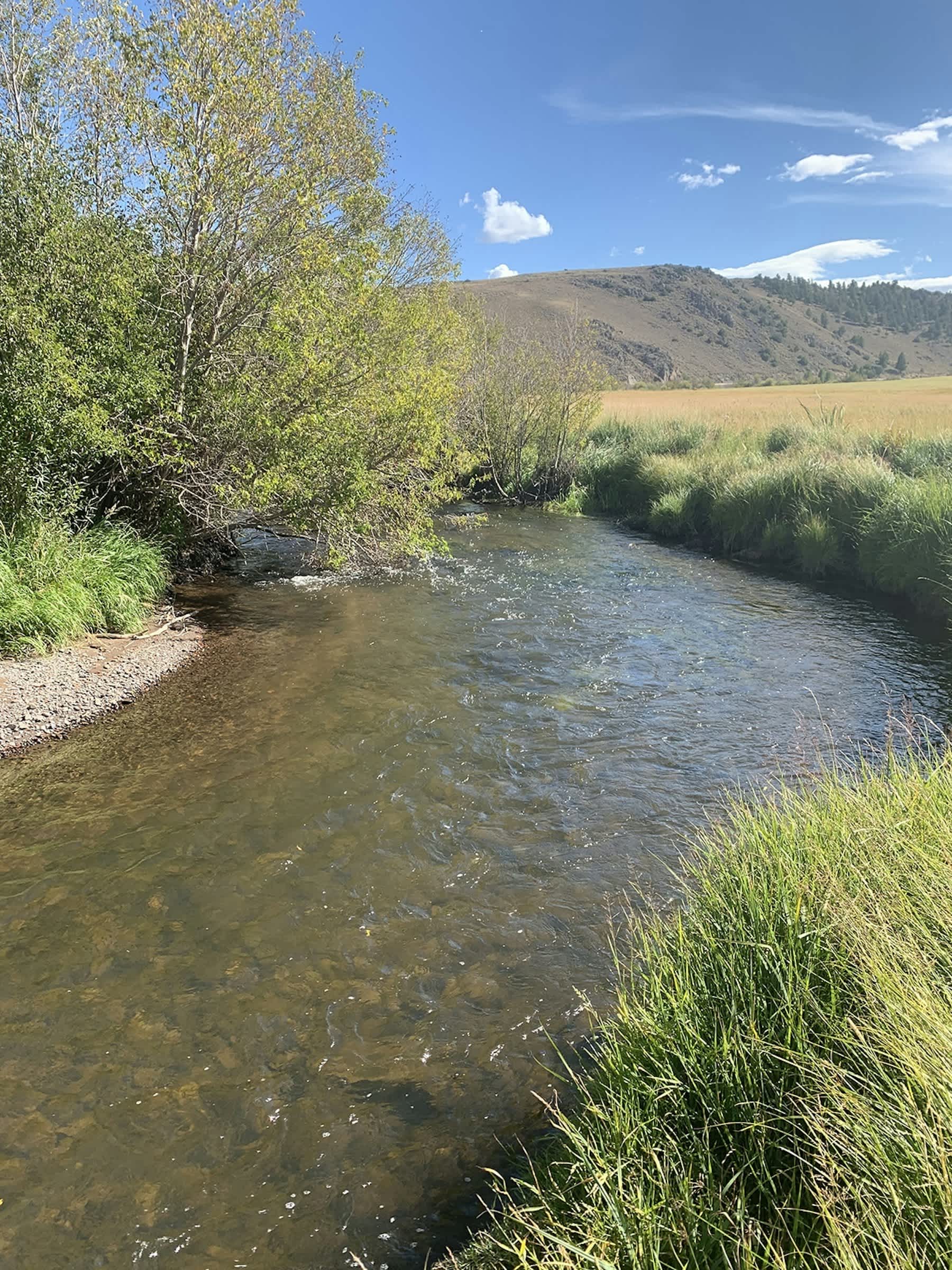 property_data/kM60Jx5SeozBZ2B2Kd9l/pictures/[RW] Cochetopa Creek_2.jpg