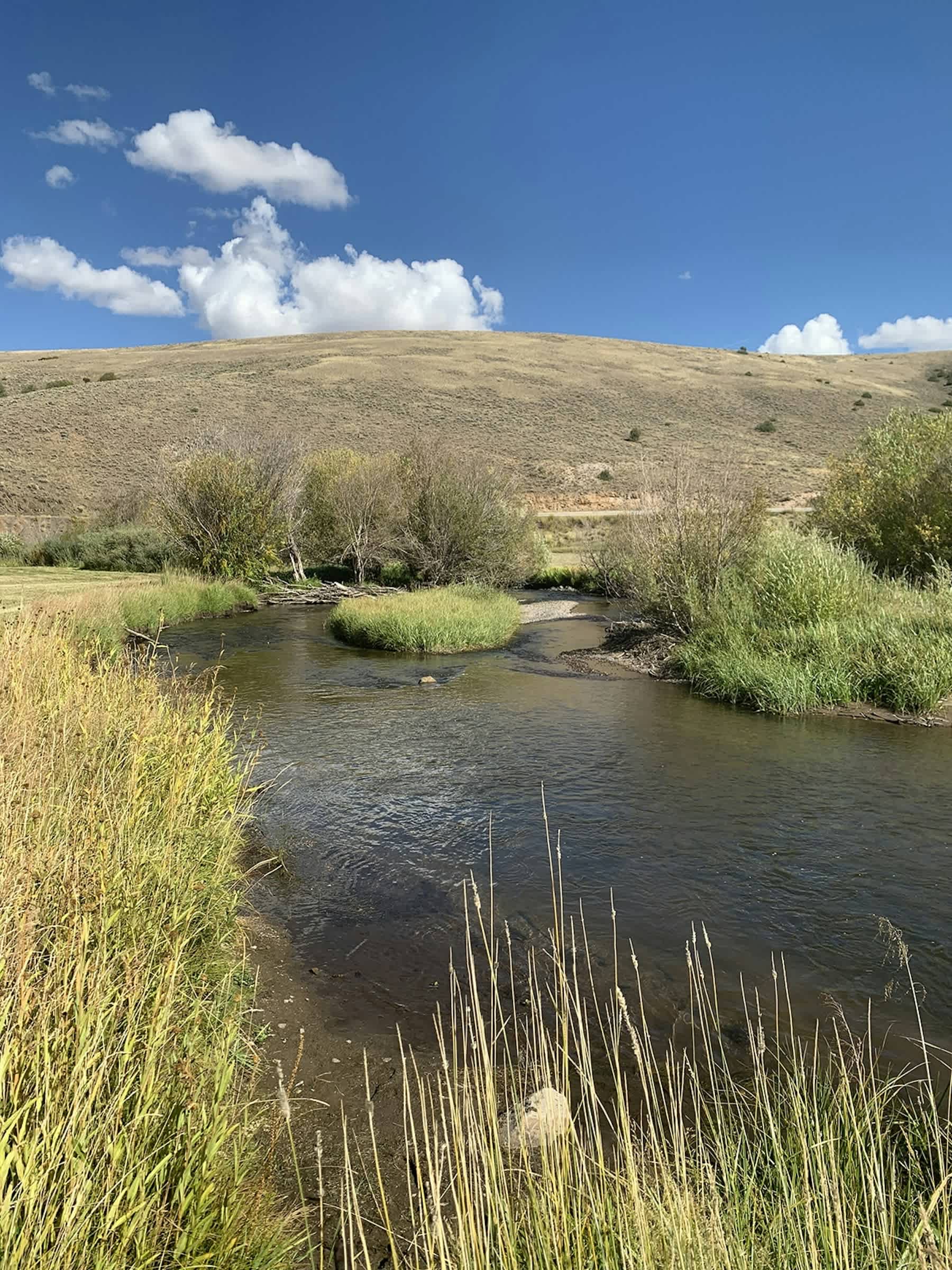 property_data/kM60Jx5SeozBZ2B2Kd9l/pictures/[RW] Cochetopa Creek_4.jpg