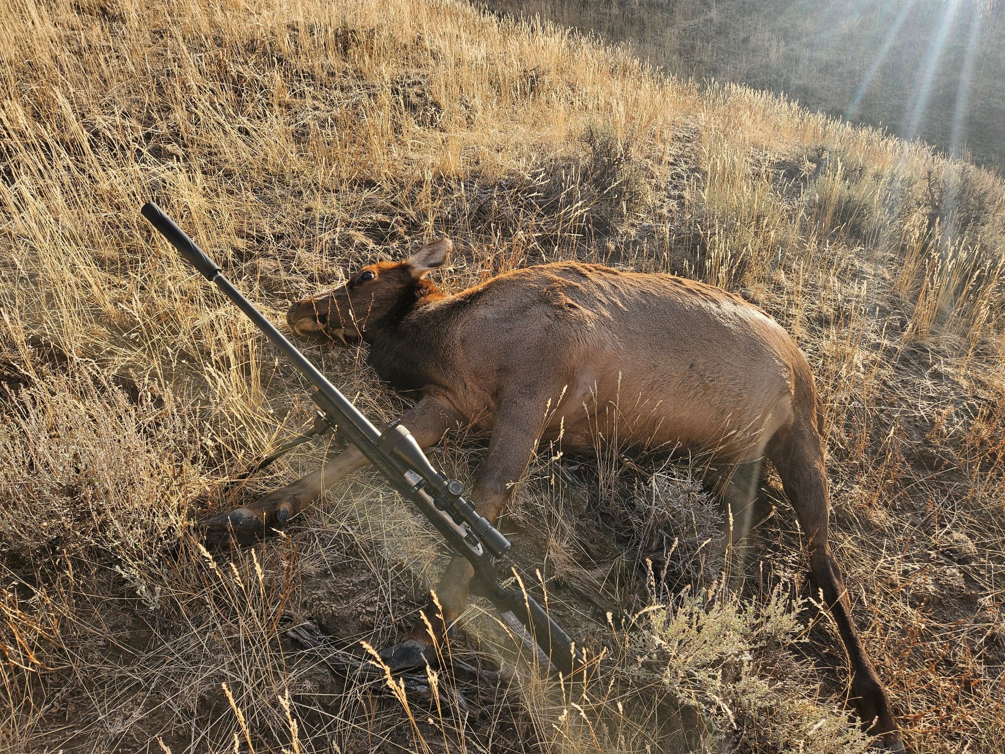 property_data/lyuZ1DmNyIPciIDUylQa/pictures/2024 cow elk dbl l ranch.jpg