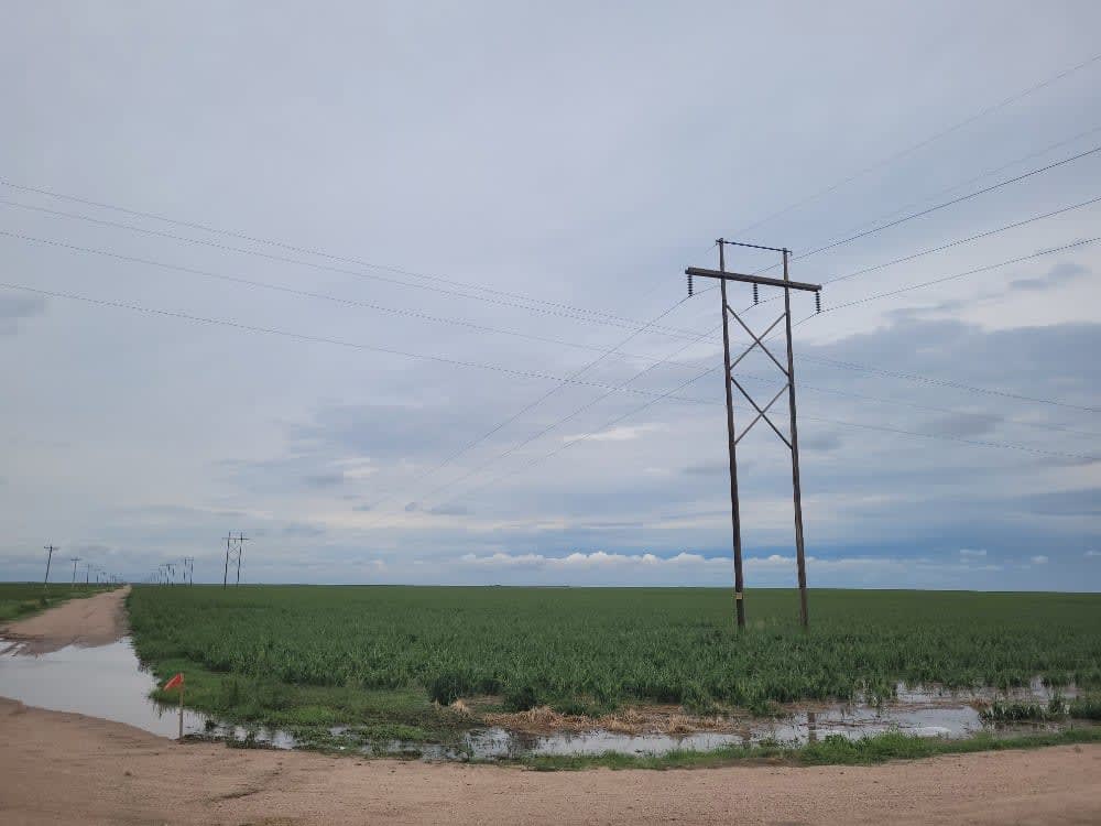 property_data/s51TE1045IU4SIbujH6Z/pictures/dove 15.jpg