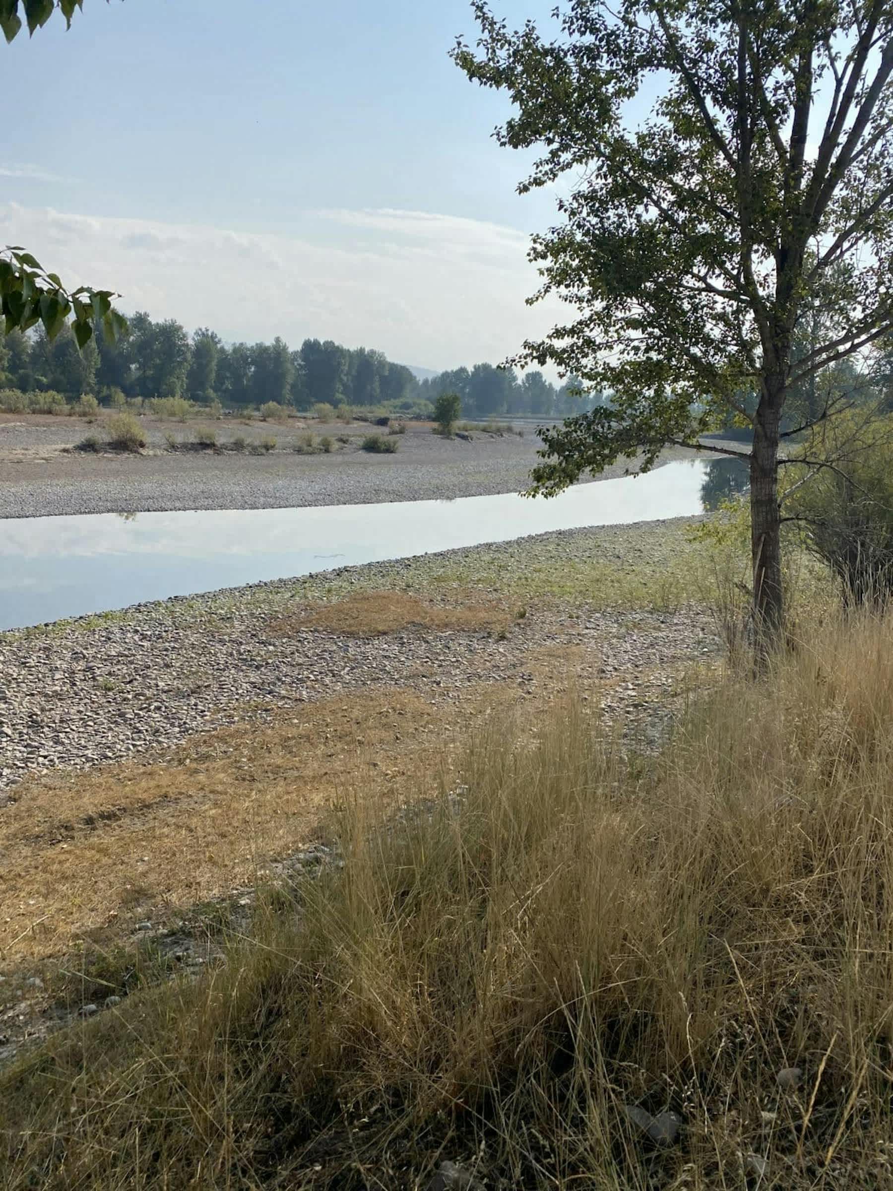 property_data/wqHUBjS5bS5kI4wyiGTd/pictures/[RW] Clark Fork Overlook Ranch_2.jpg
