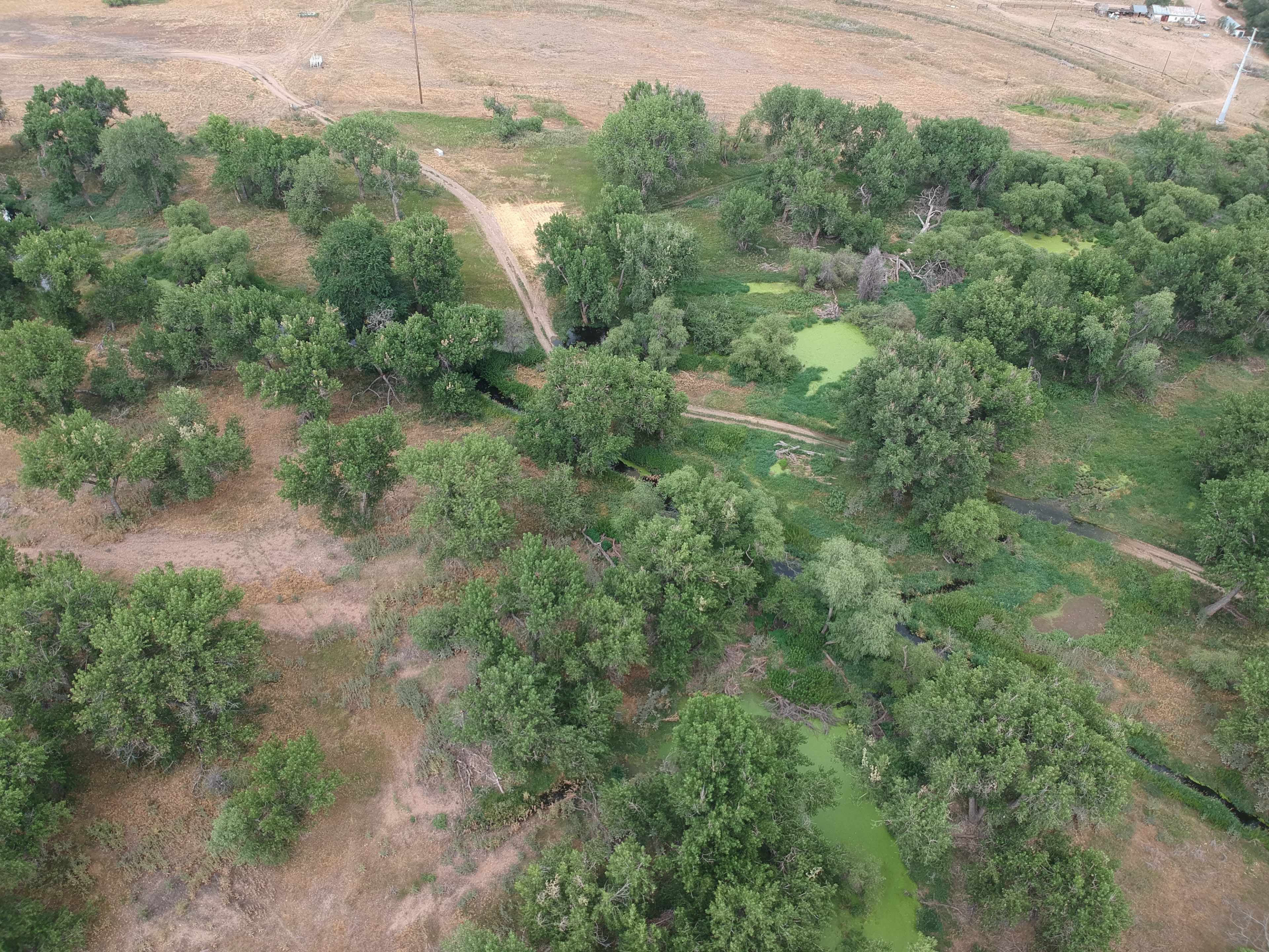 property_data/xNEb6OvGkfy2XruDLlOb/pictures/DJI_0713_Original.jpg